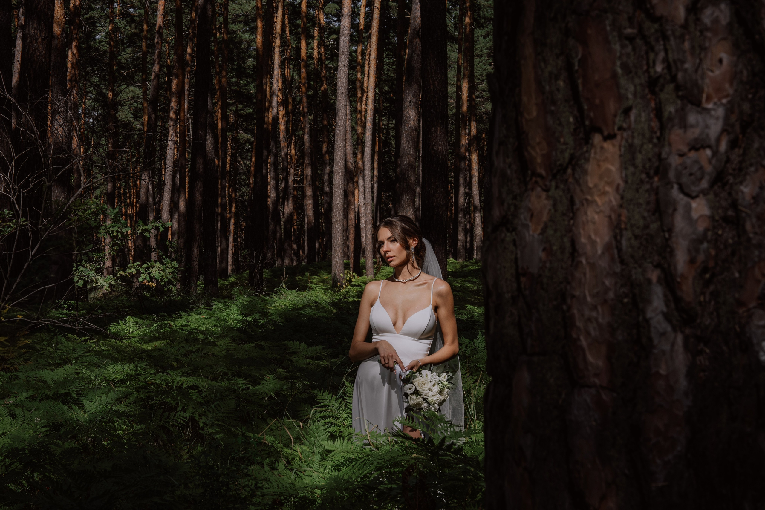 Сергей и Вероника 2024