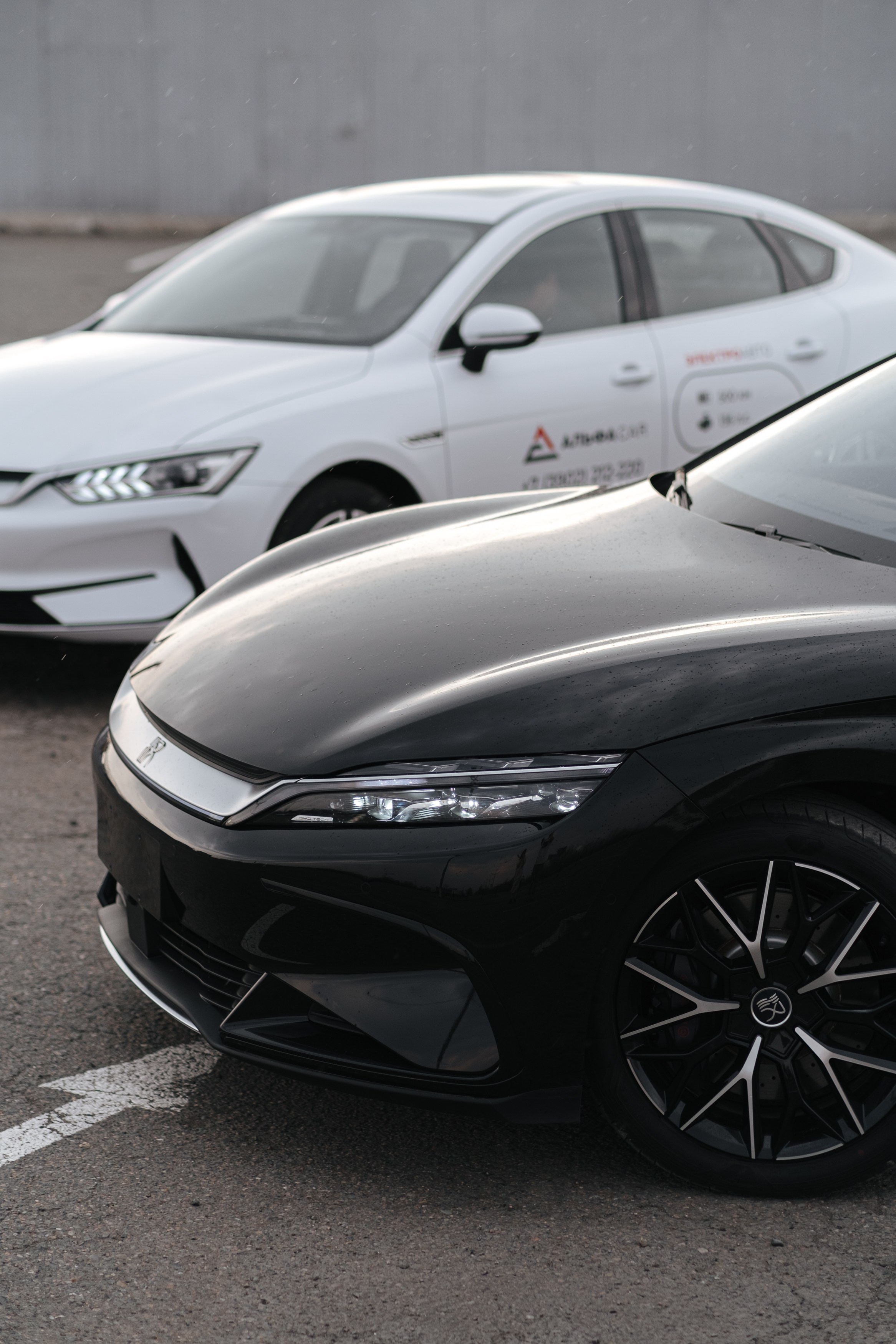 BYD EV. Фуд и предметный фотограф Виталий Морозов г. Москва