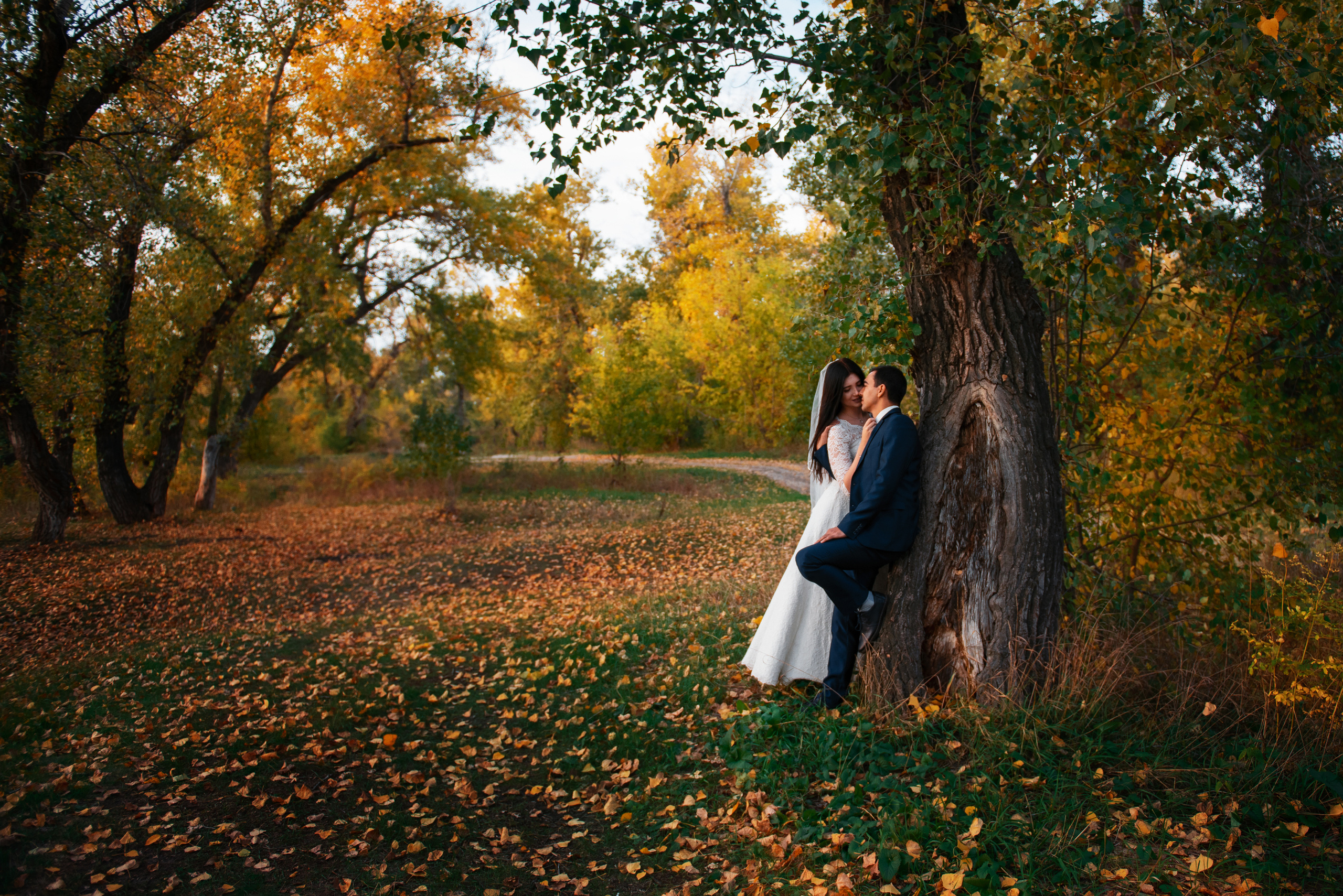 Свадьбы 2022-2023. Belichev45foto.ru