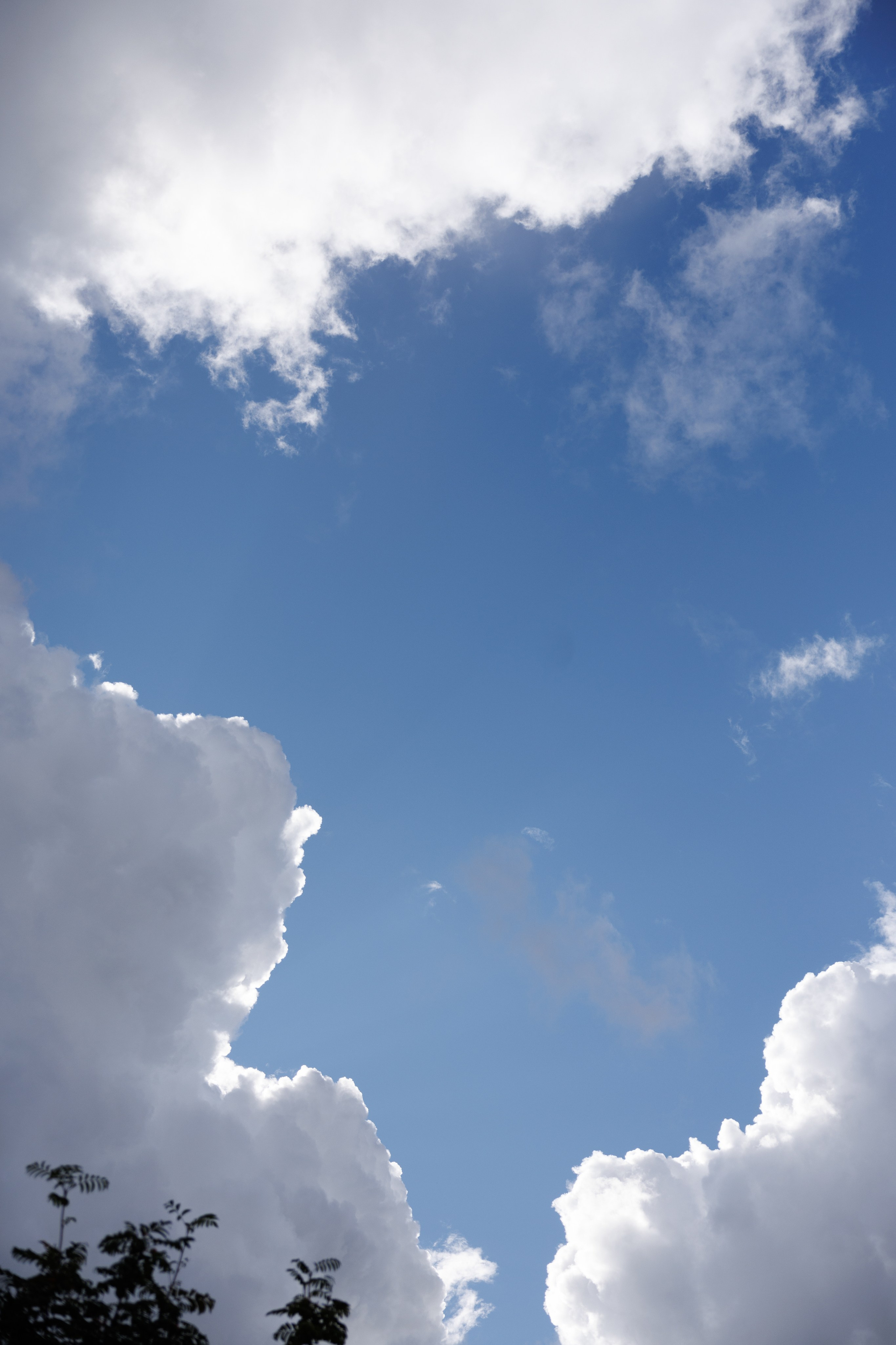 Artem & Viktoria. Wedding and family photographer in Moscow