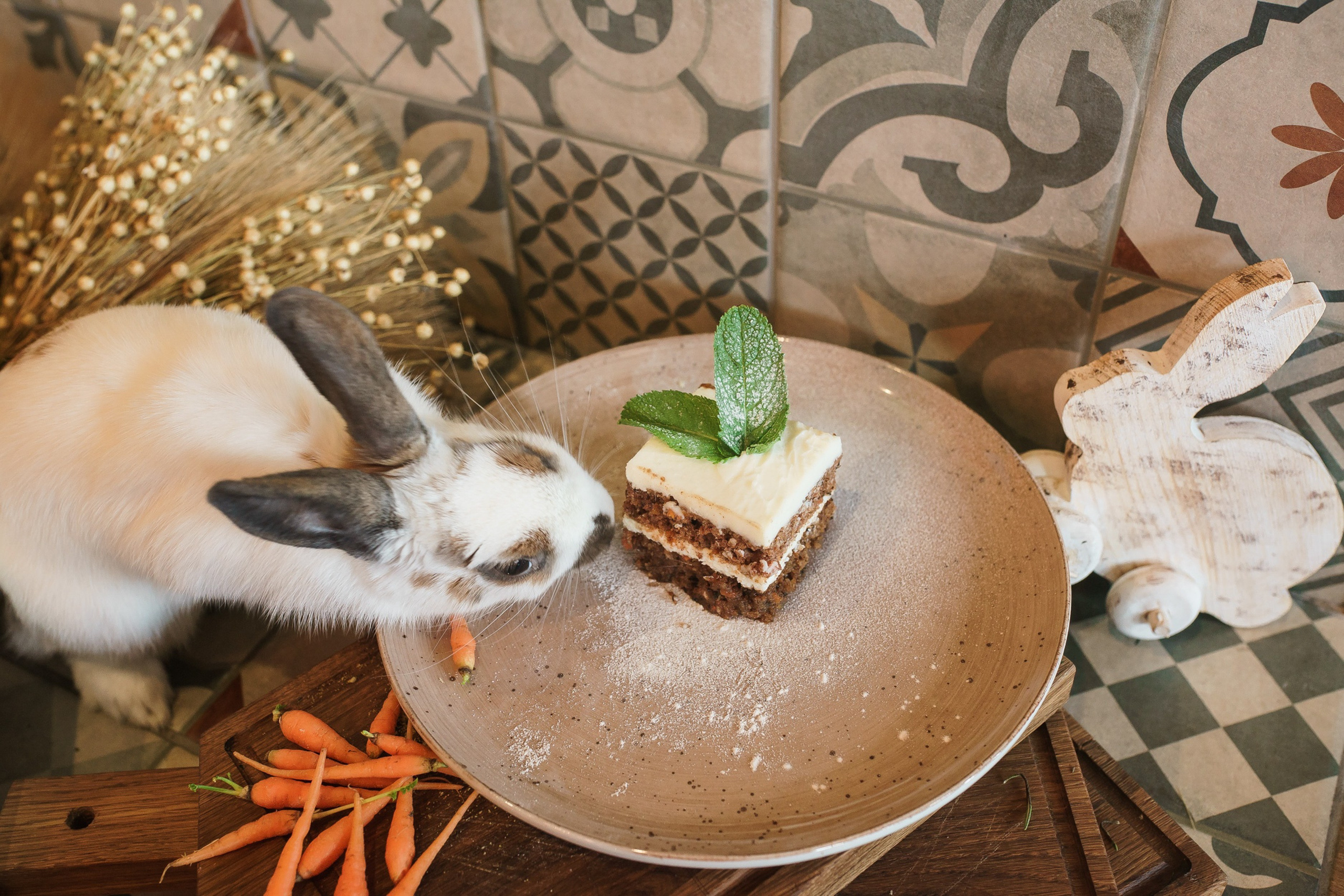 Фотосъёмка для HoReCa. All In Media — фотосъёмка и видеопродакшн