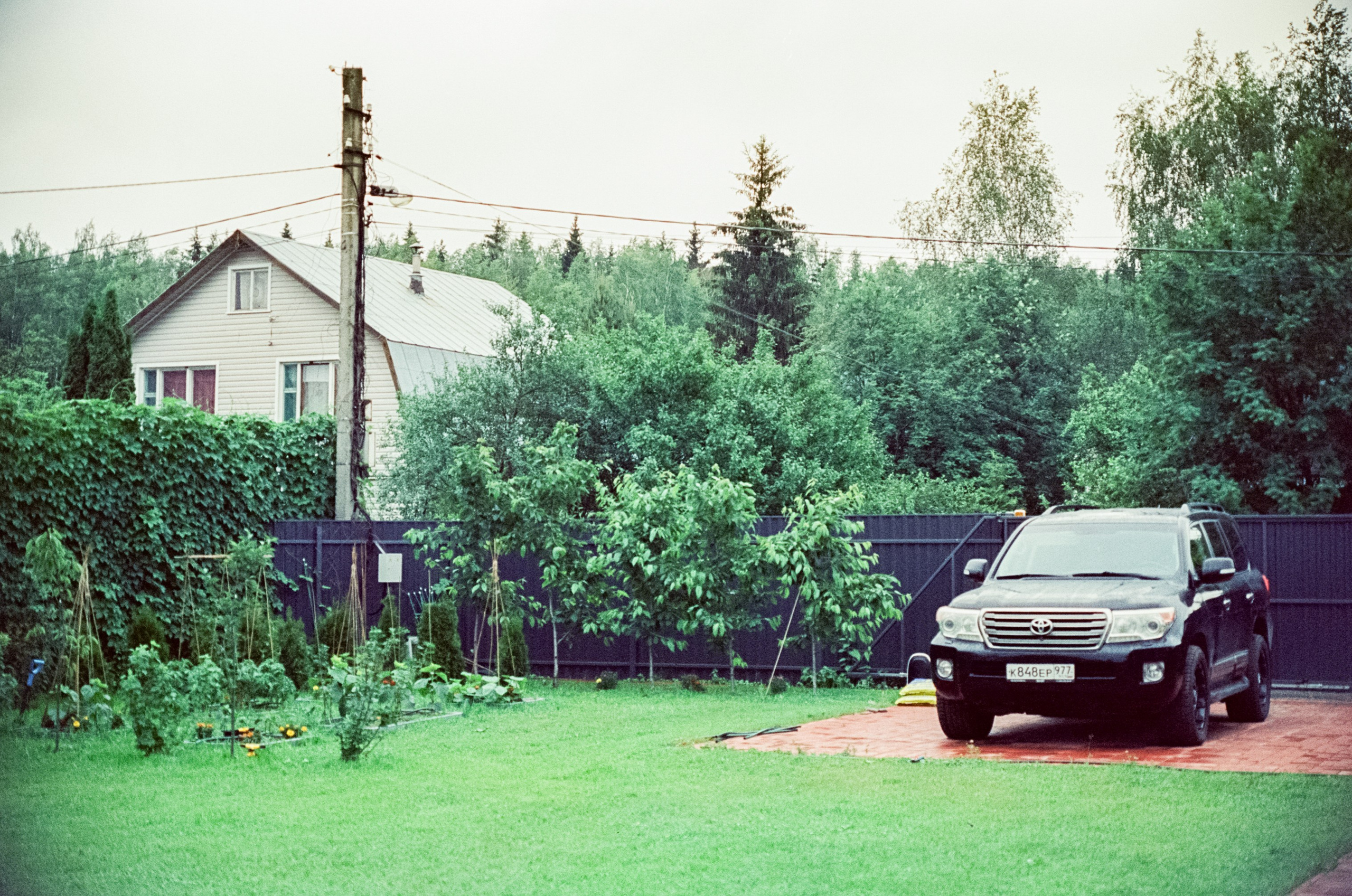 Nikon F100 примеры фотографий