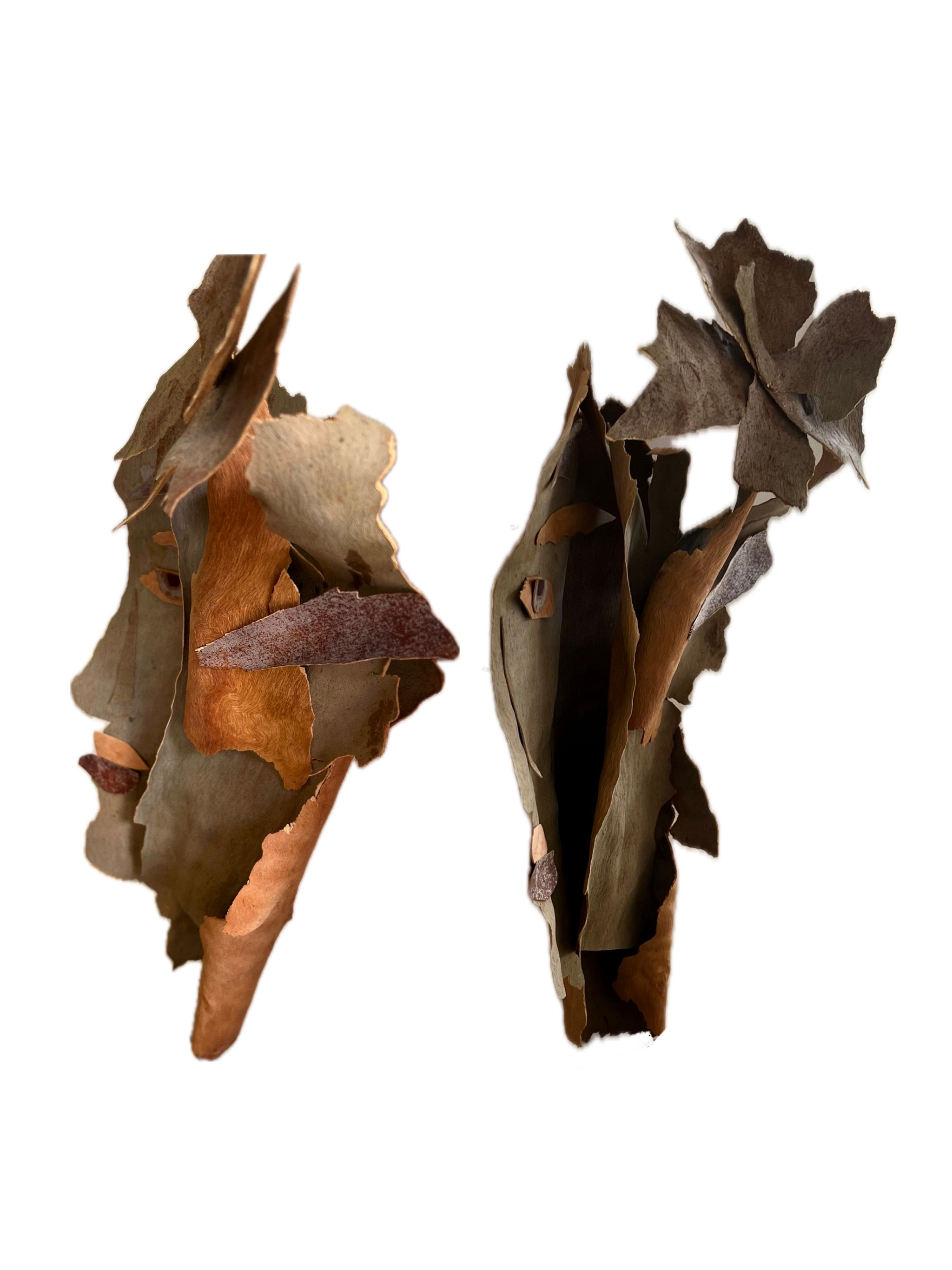 My fragile skin, 2025, wood, glue