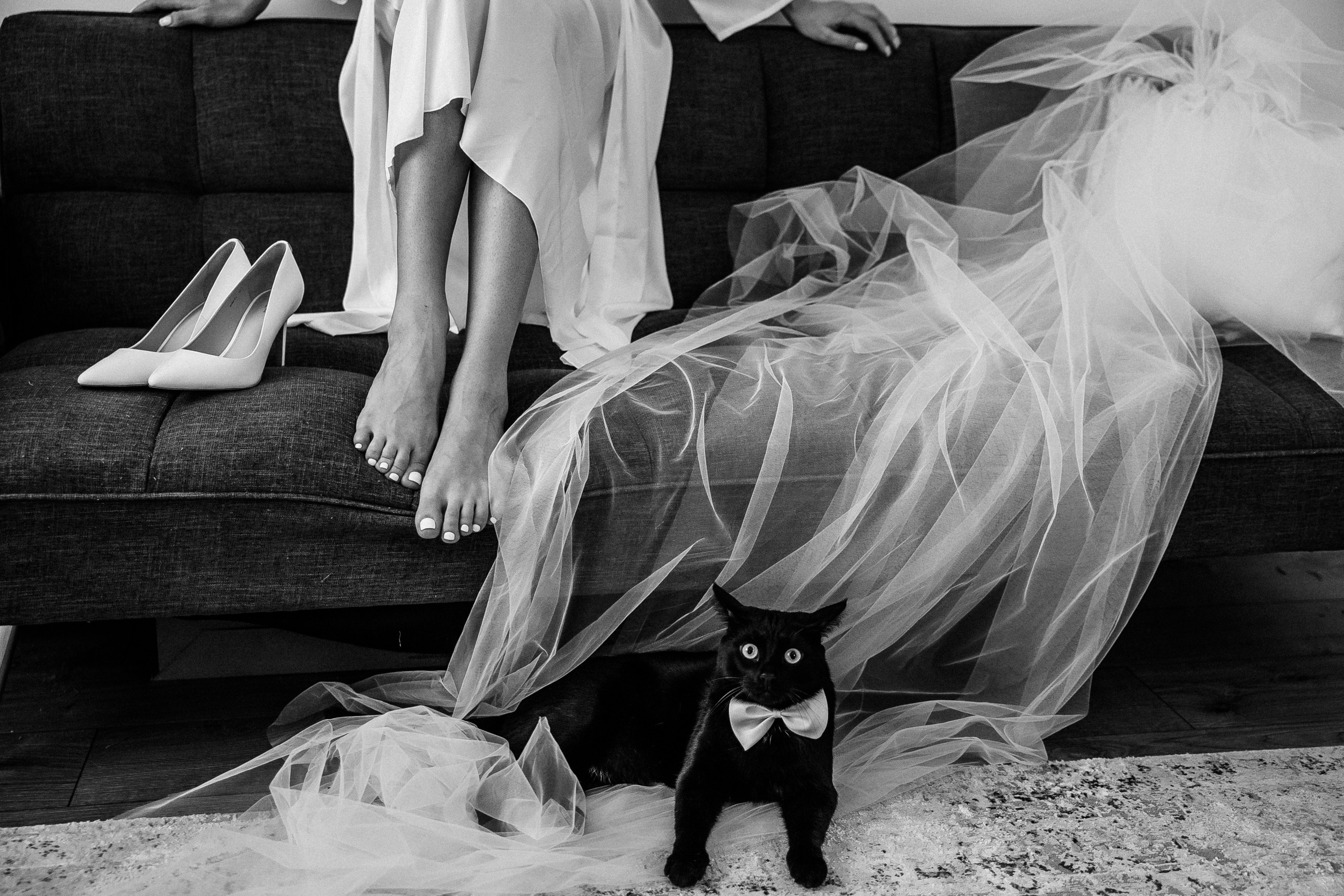 Свадебная съемка. Фотограф Дмитрий Иванов