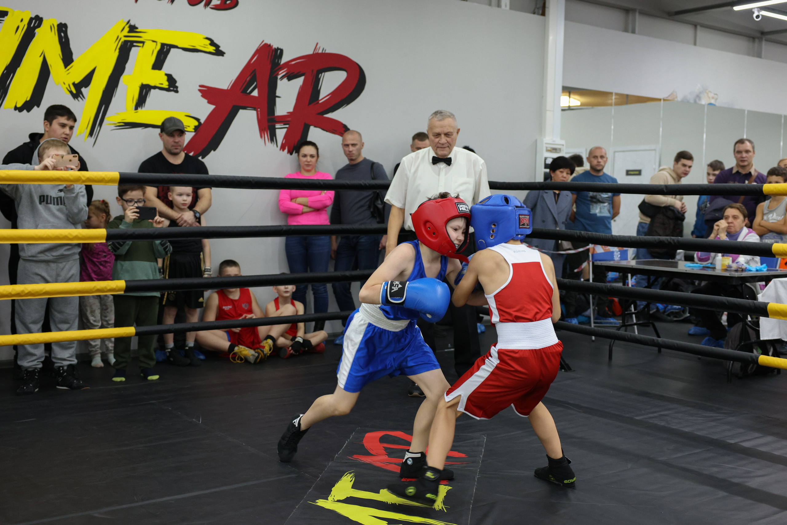 Открытый ринг «кубок ООО «ТЭК НеваСпецТяж». Фотограф Александр Заломаев