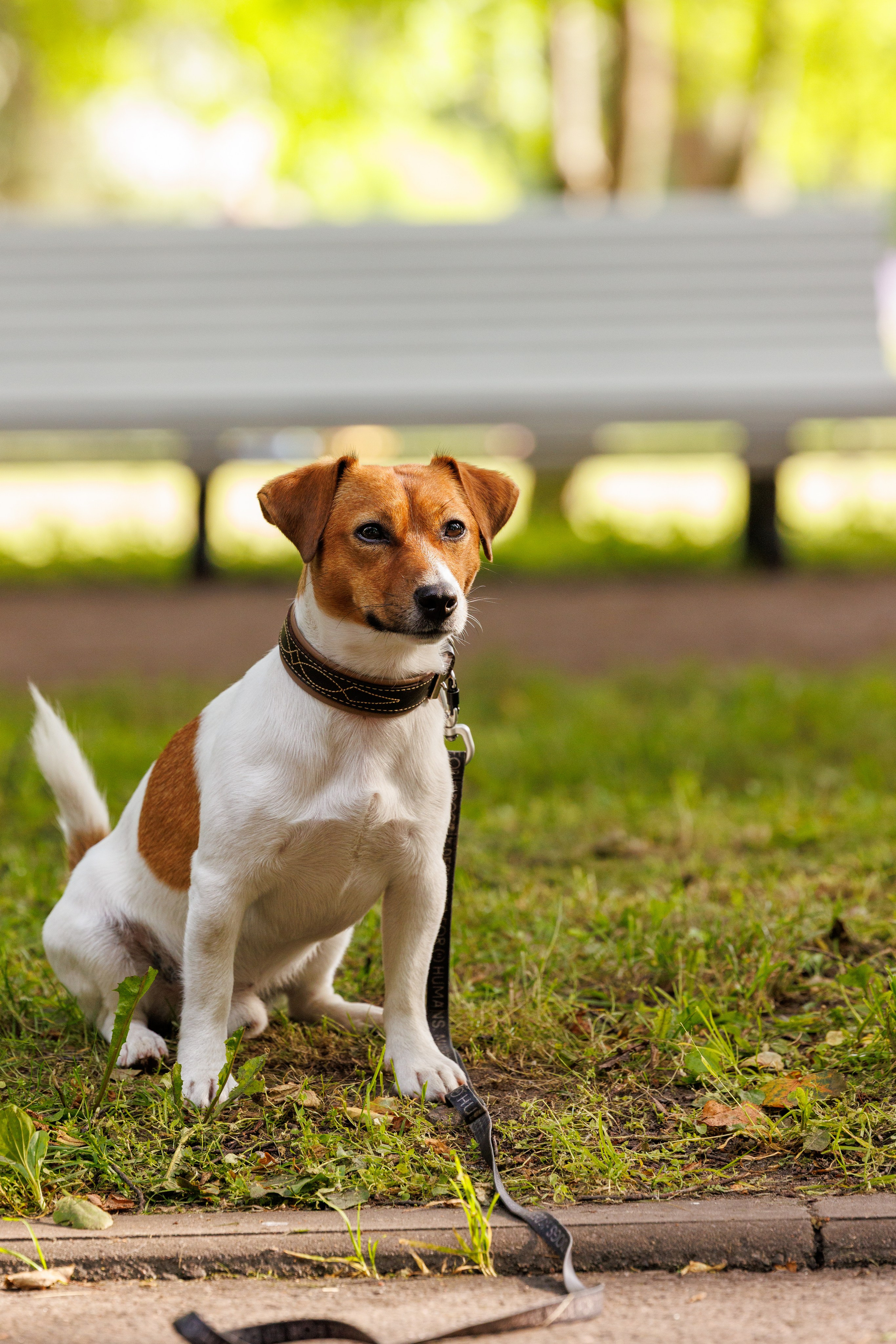 PetShopDays2026. Фотограф Александр Заломаев