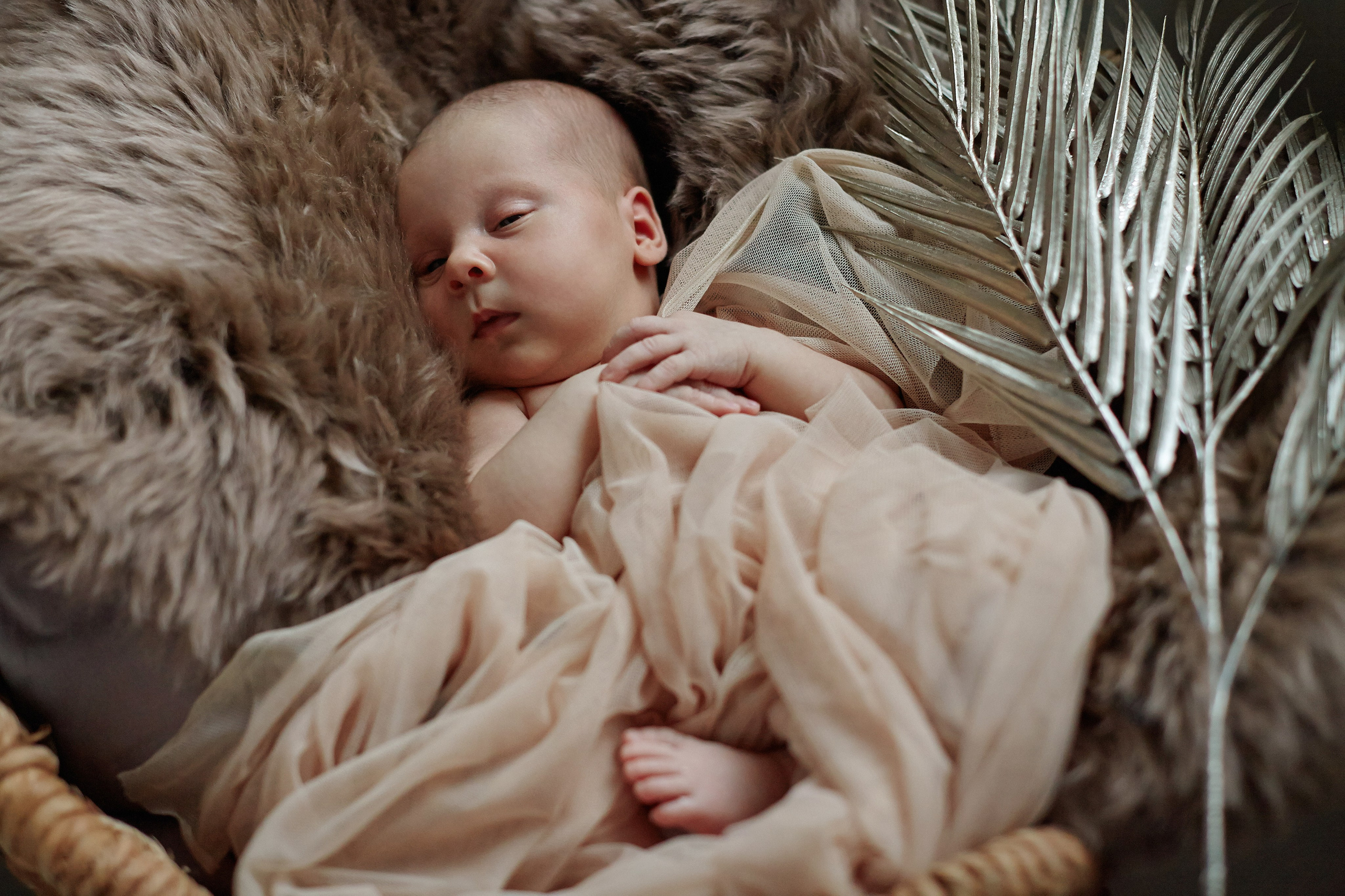 Есения. Фотограф Ольга Ефремова