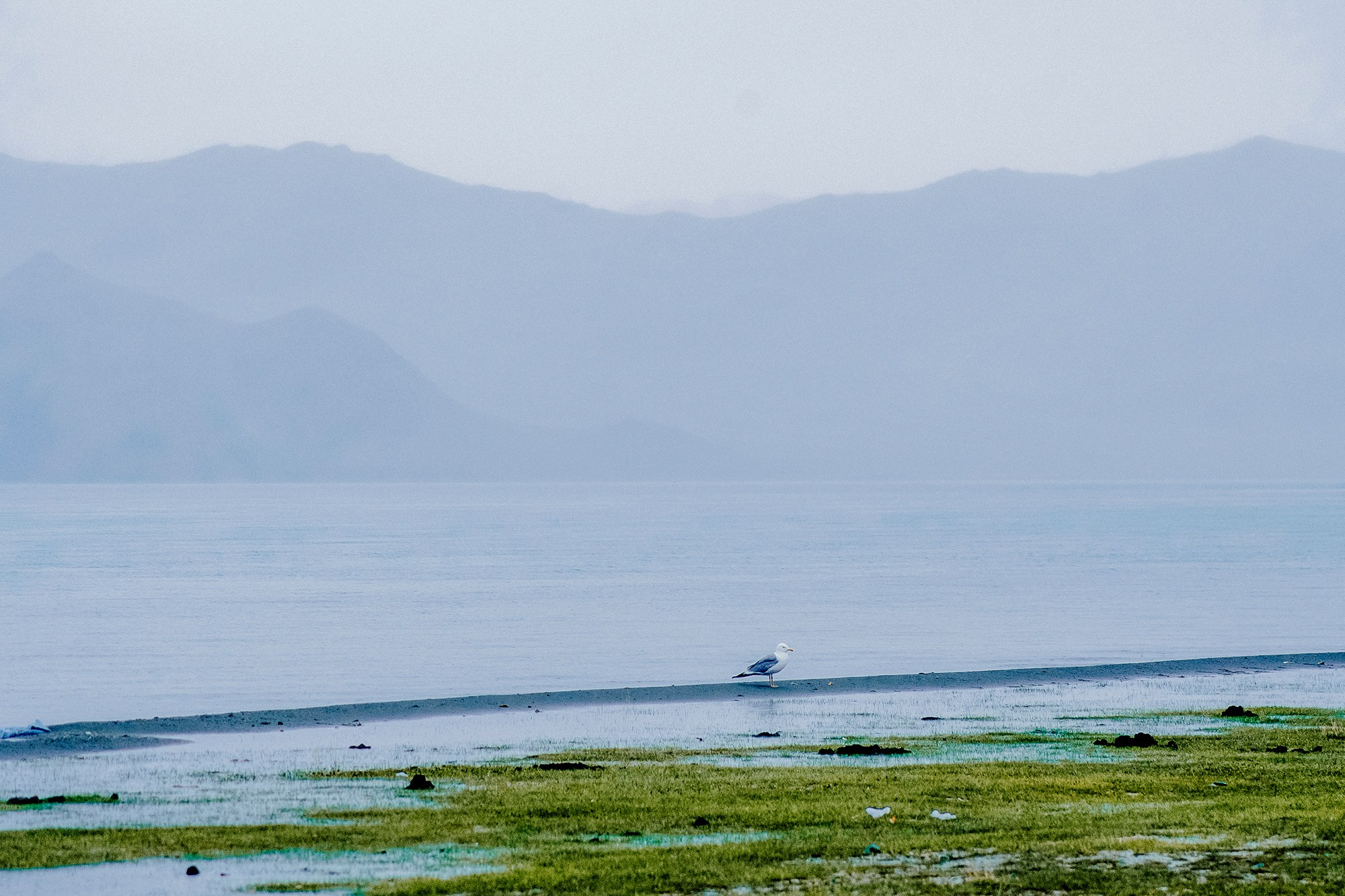 Mongolia landscape. Iraogo