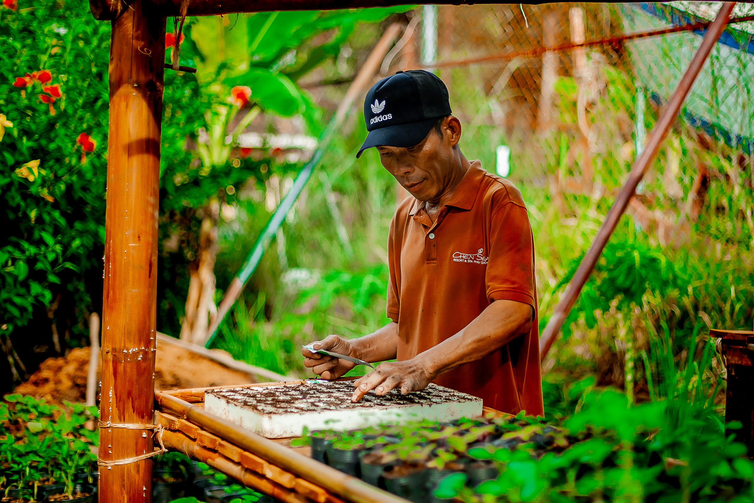 Репортажный фотограф Ялта. Репортажный фотограф Ялта