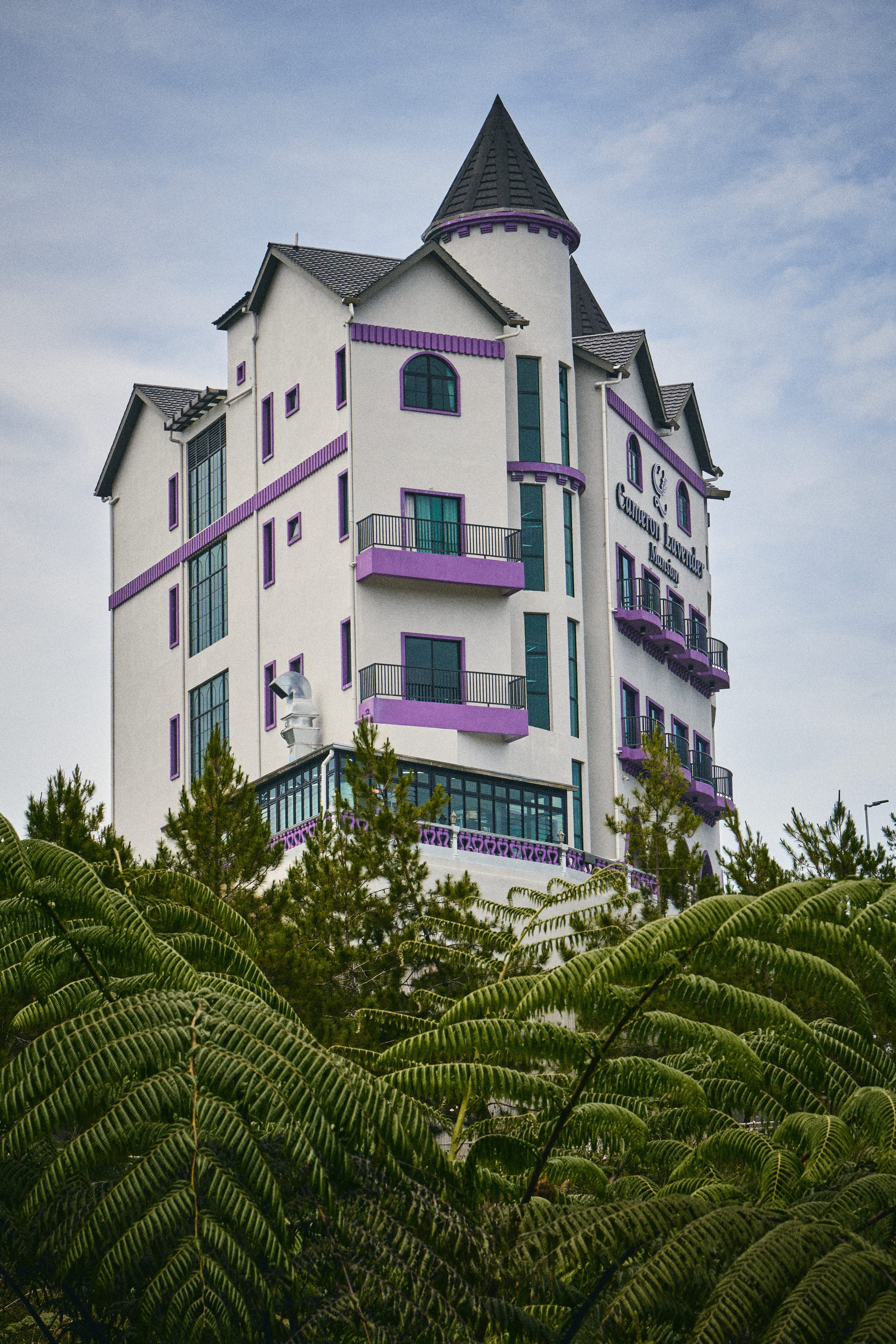 Lavender Mansion. See the moment and catche. commercial and reportage