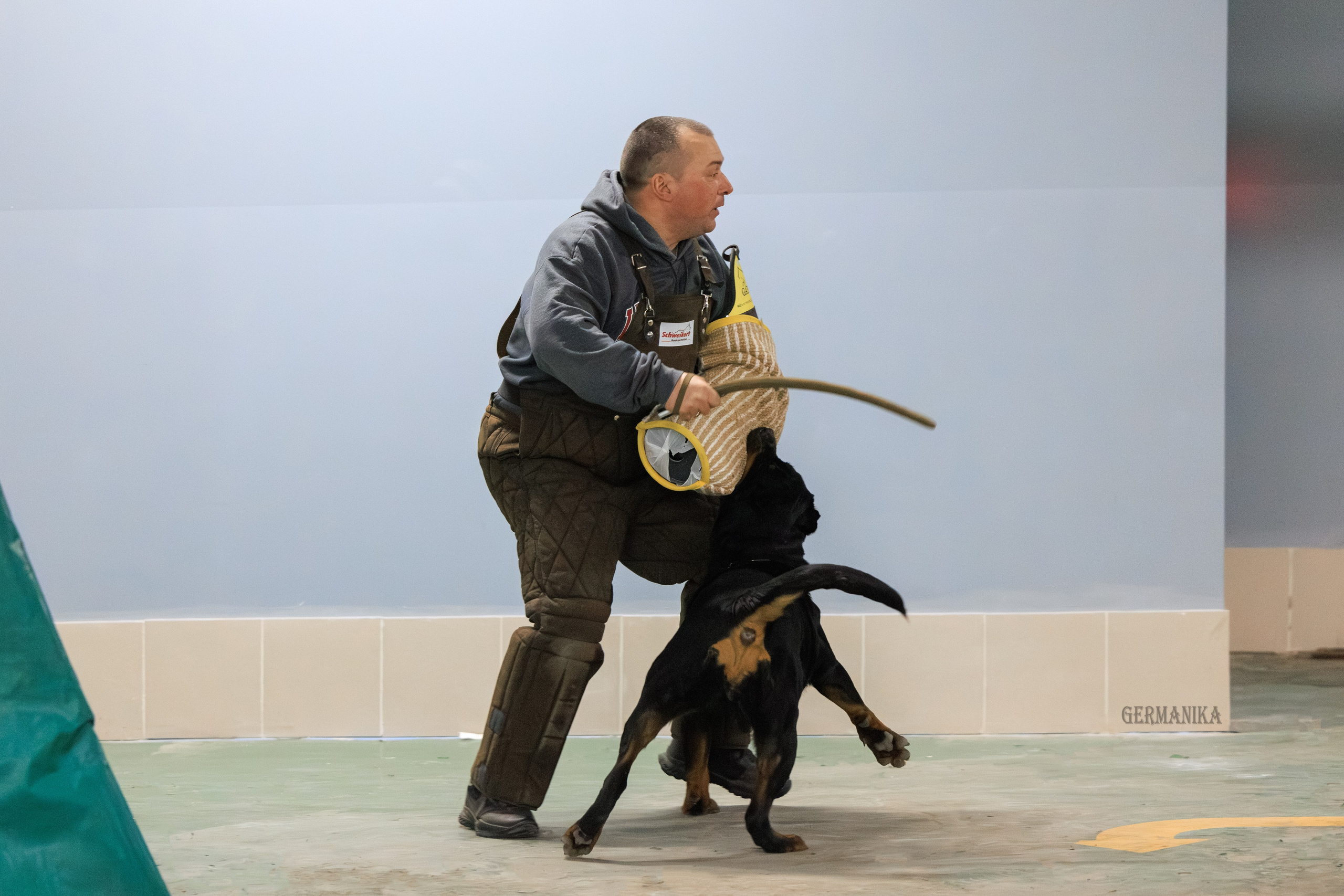 Сфера 08 и 10.03.2024 2хмоно ротвейлеров+2хмоно сао. Фотограф-анималист Юлия Германика