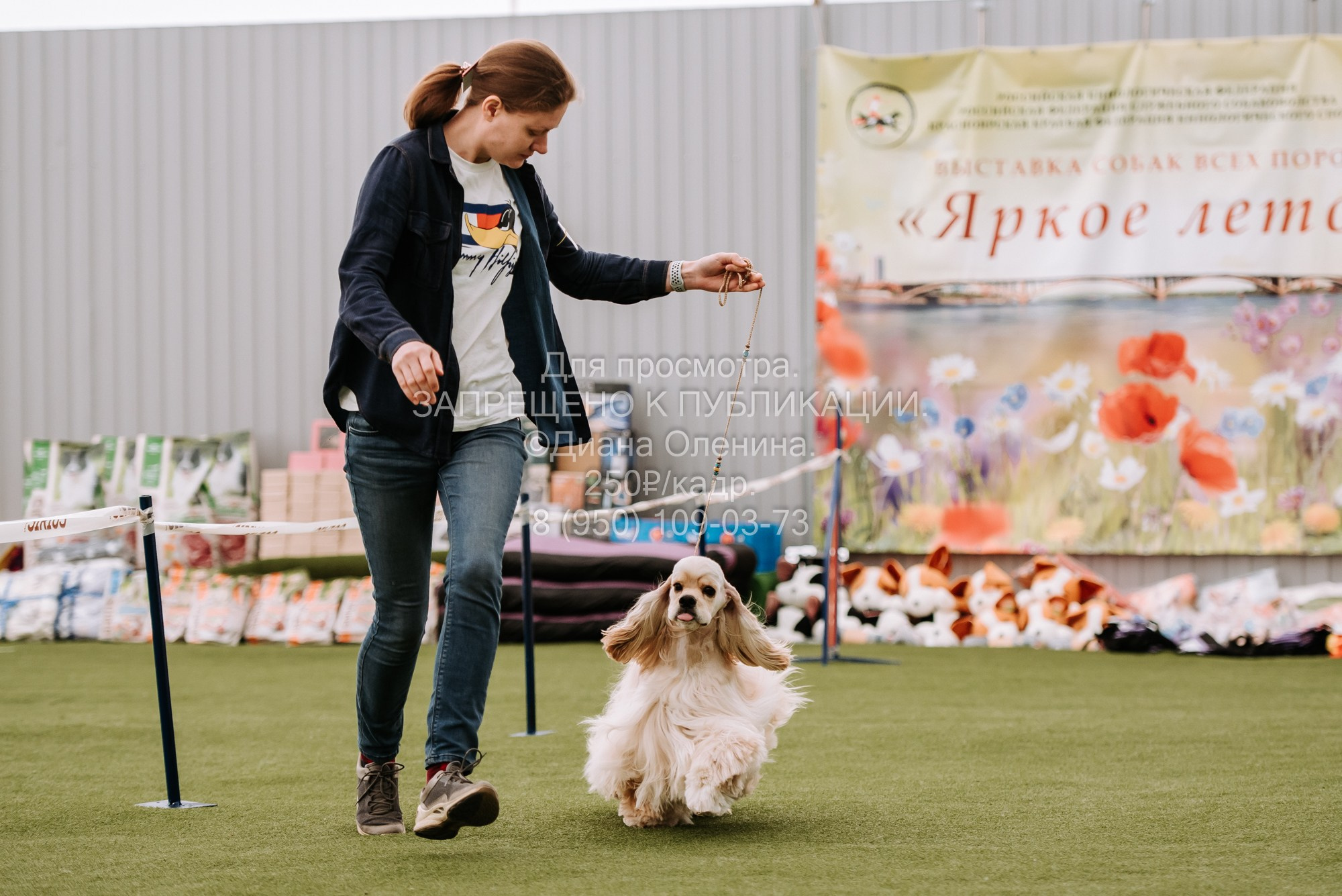 Выставка собак Красноярск 2.06. Фотограф Диана Оленина Красноярск / Братск