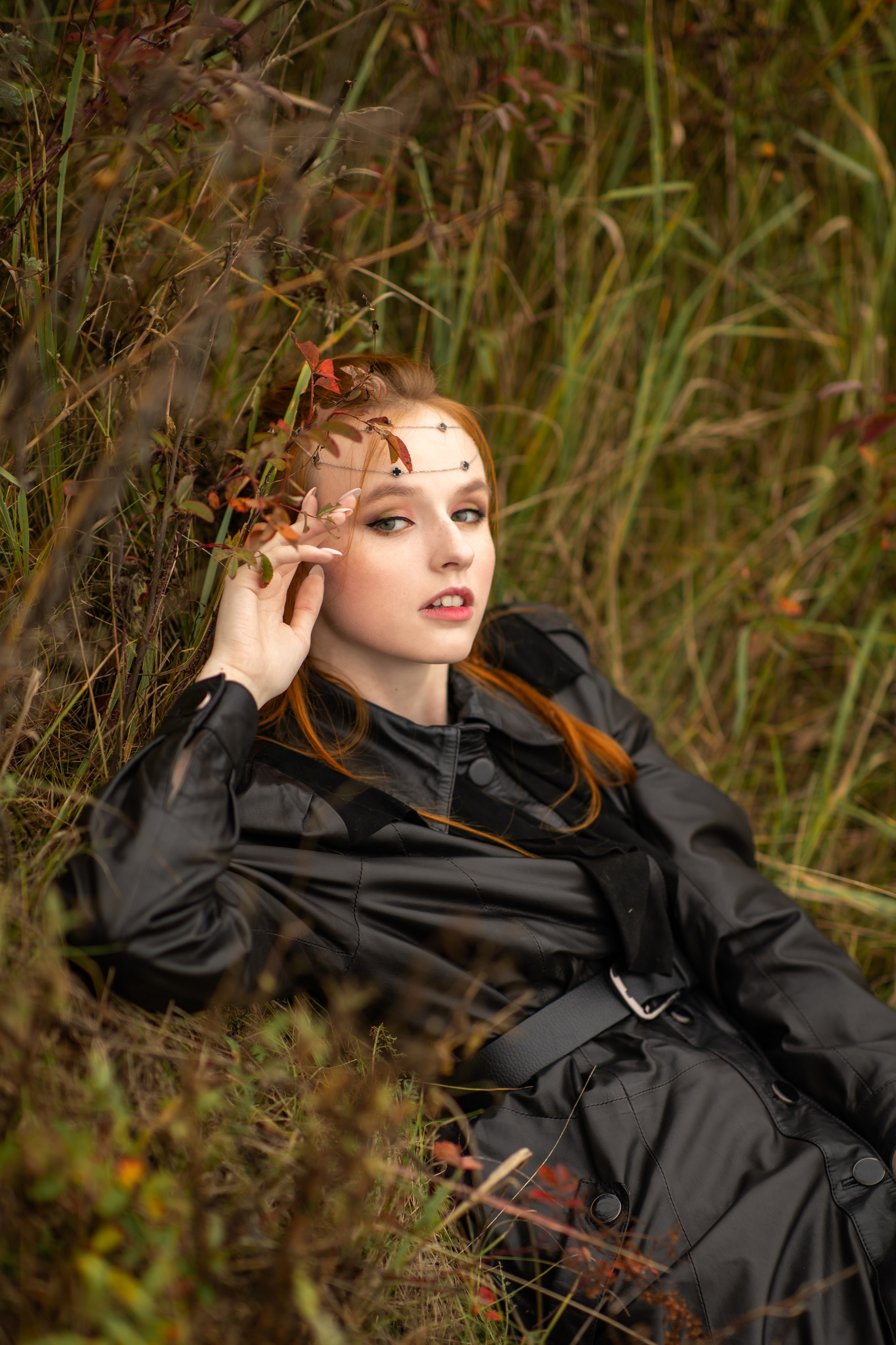 Волшебный лес