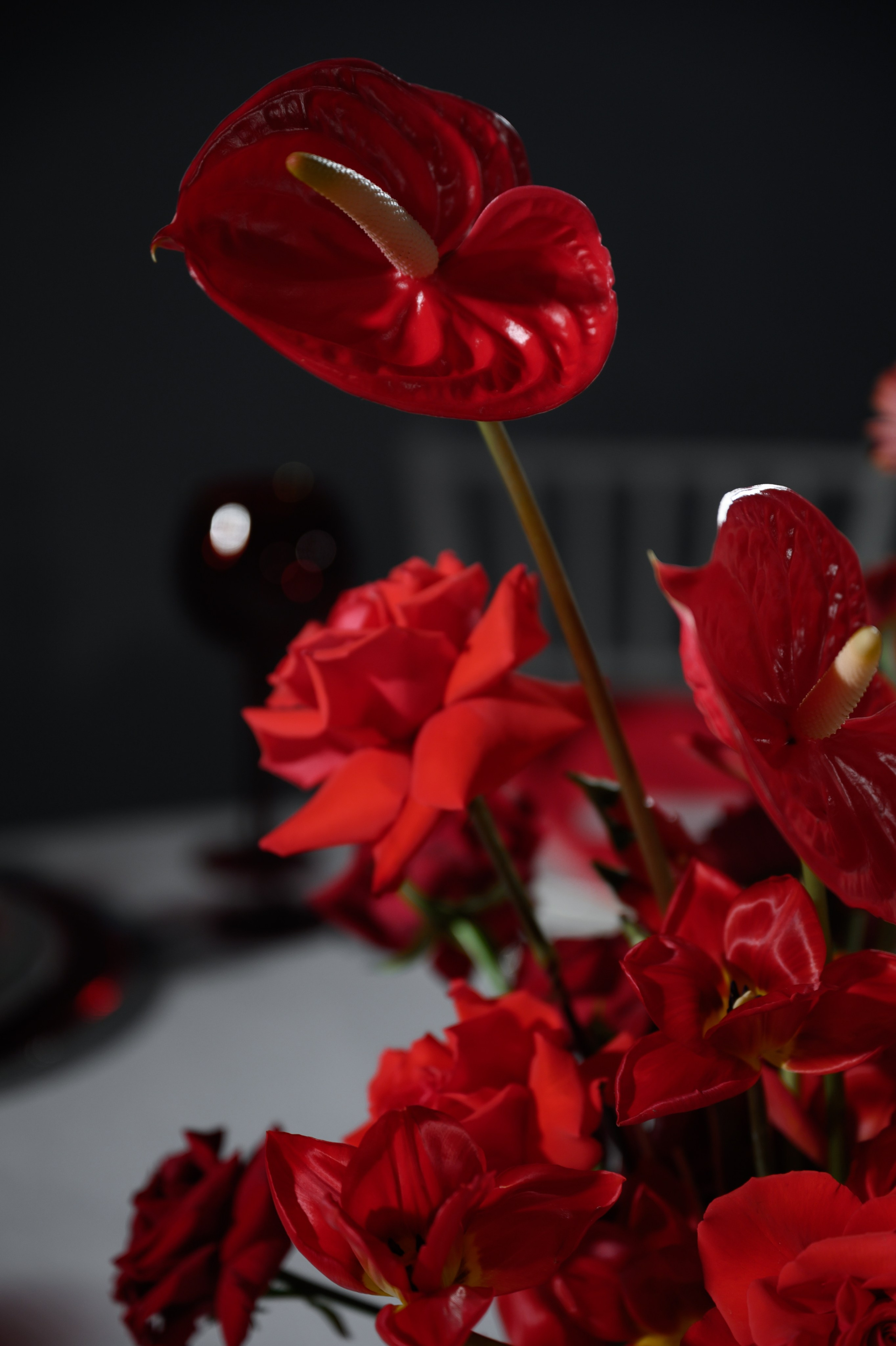 12.11.2024. RETOUCH-HOUSE