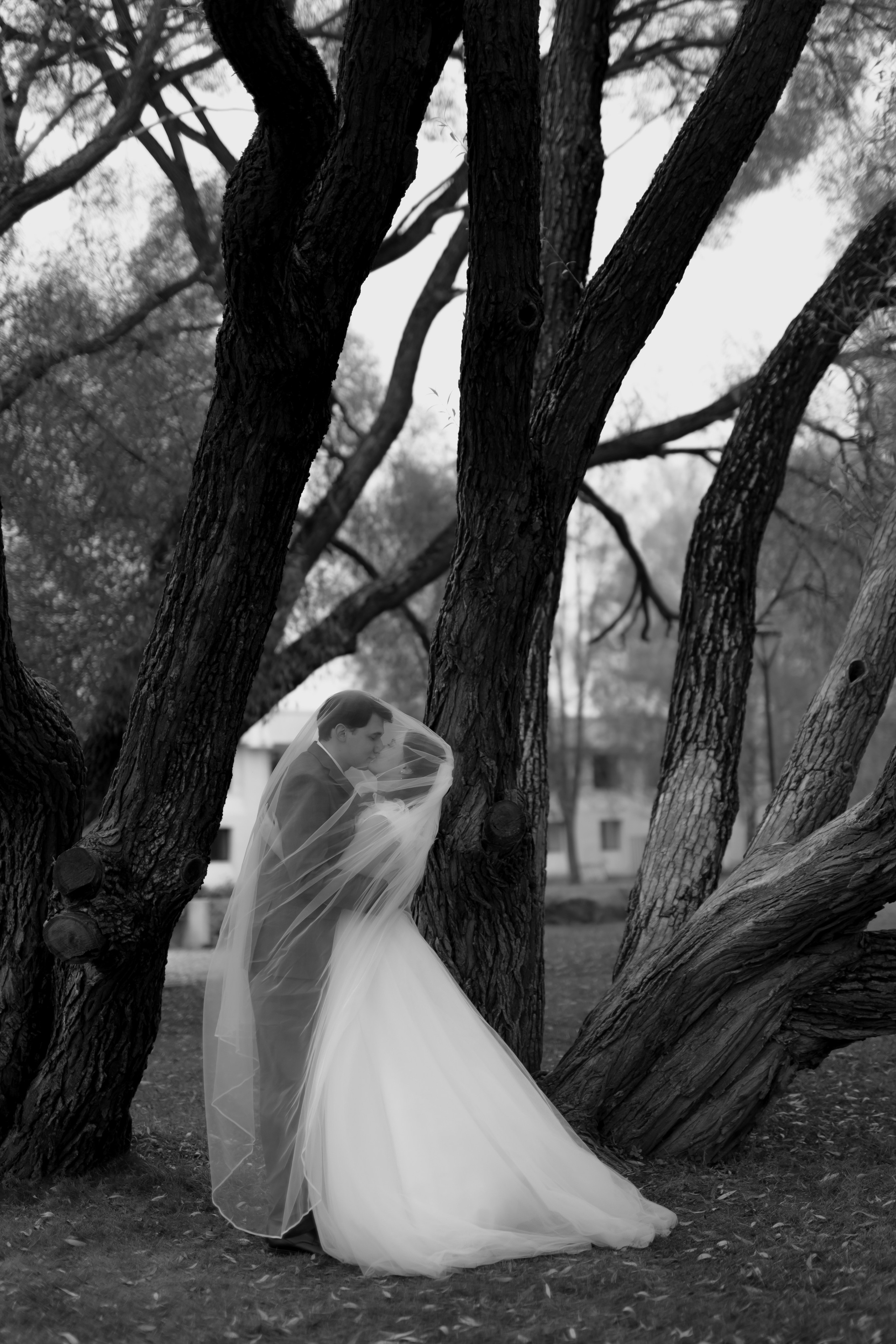 Свадьба Даниила и Виктории. Фотограф Кольчугино/Владимир/Москва Елизавета Иода