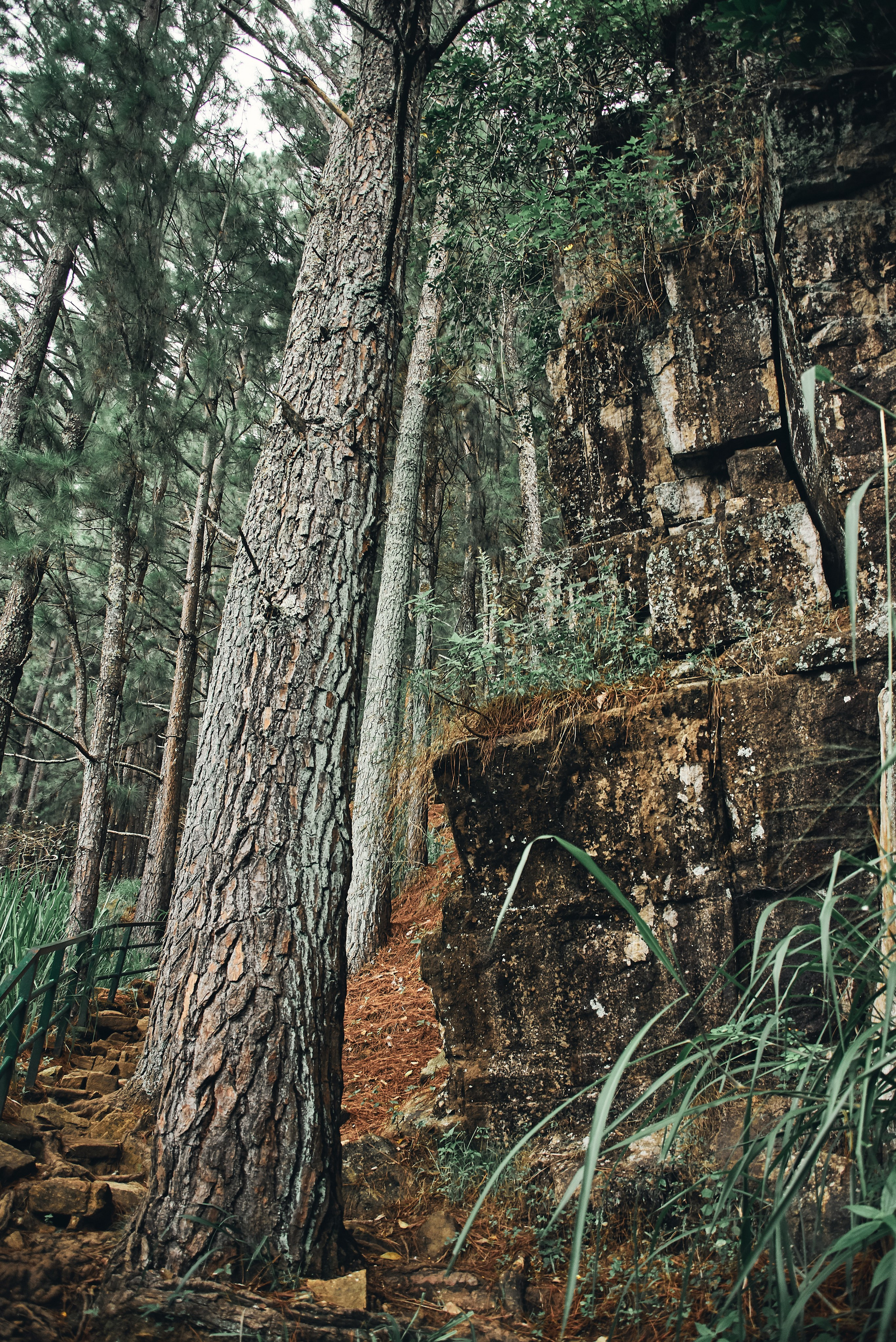 Moto Trip 23-05-19. Никита Хохловский фото и видео продакшн