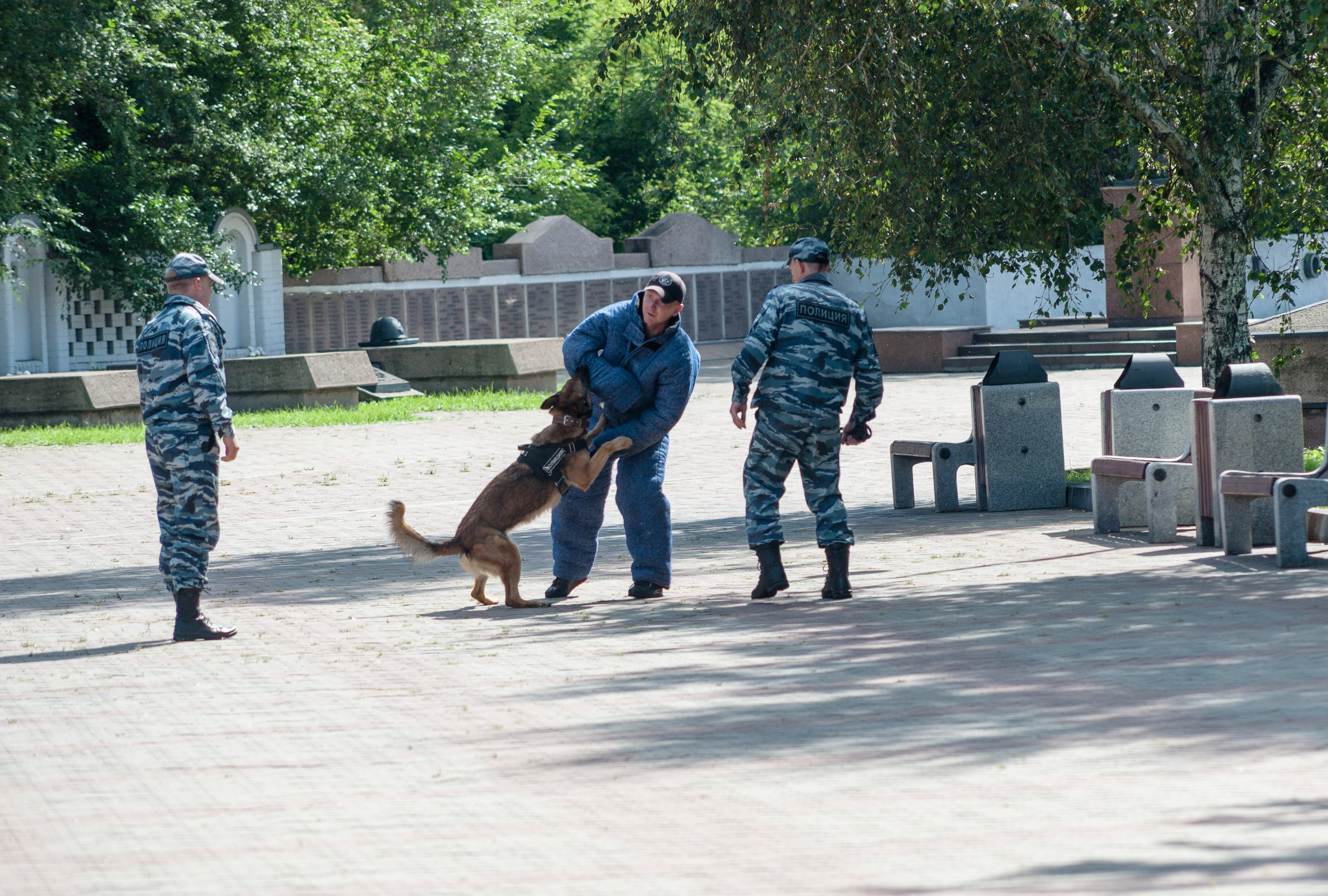 ВЗРОСЛЫЙ РЕПОРТАЖ. Приветствую! Меня зовут Александра, я занимаюсь репортажной и предметной съемкой в Красноярске