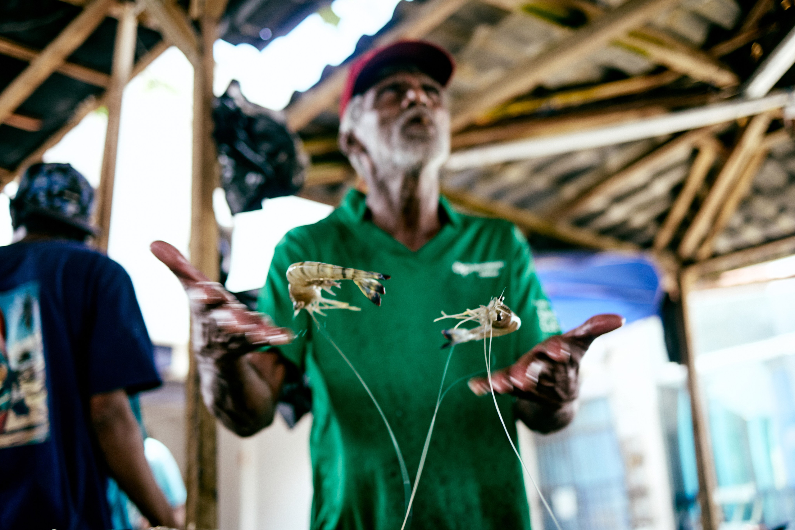 Шри-Ланка. Хороший репортажный и промышленный фотограф в Казани Алексей Щелконогов