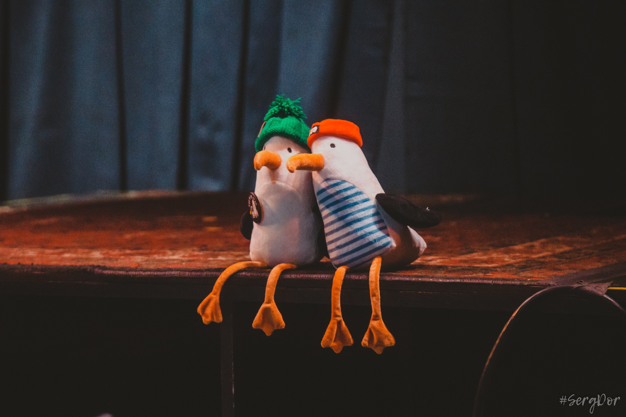 Николай Гринько, культурный центр Сердце, Санкт-Петербург, Питер, 15.05.2024, концерт, SergDor, 15 мая 2024 года, #SergDor