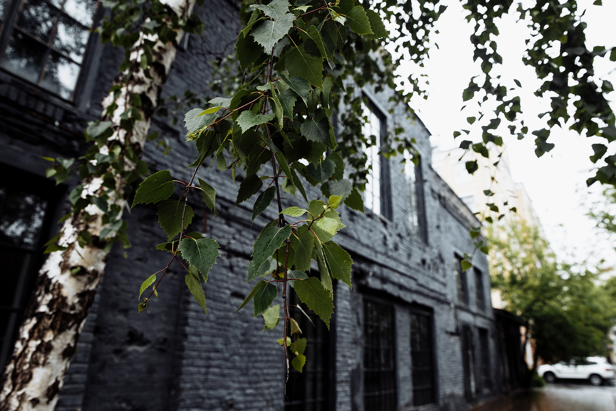 Смех, дождь, Италия, штурмовик, Тарантино. Фотограф Игорь Цаплин