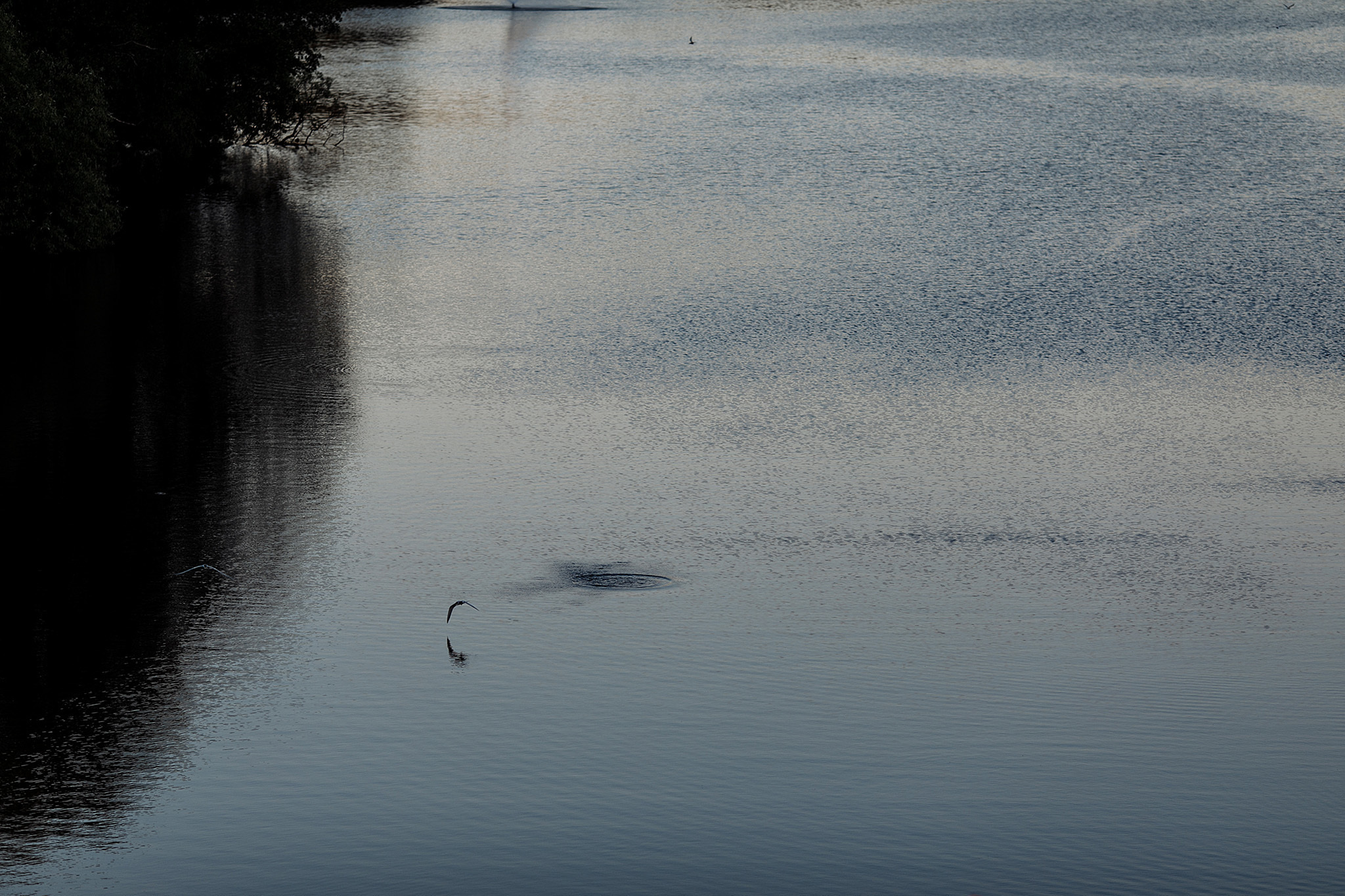 Красота спасет мир. Фотограф Игорь Цаплин