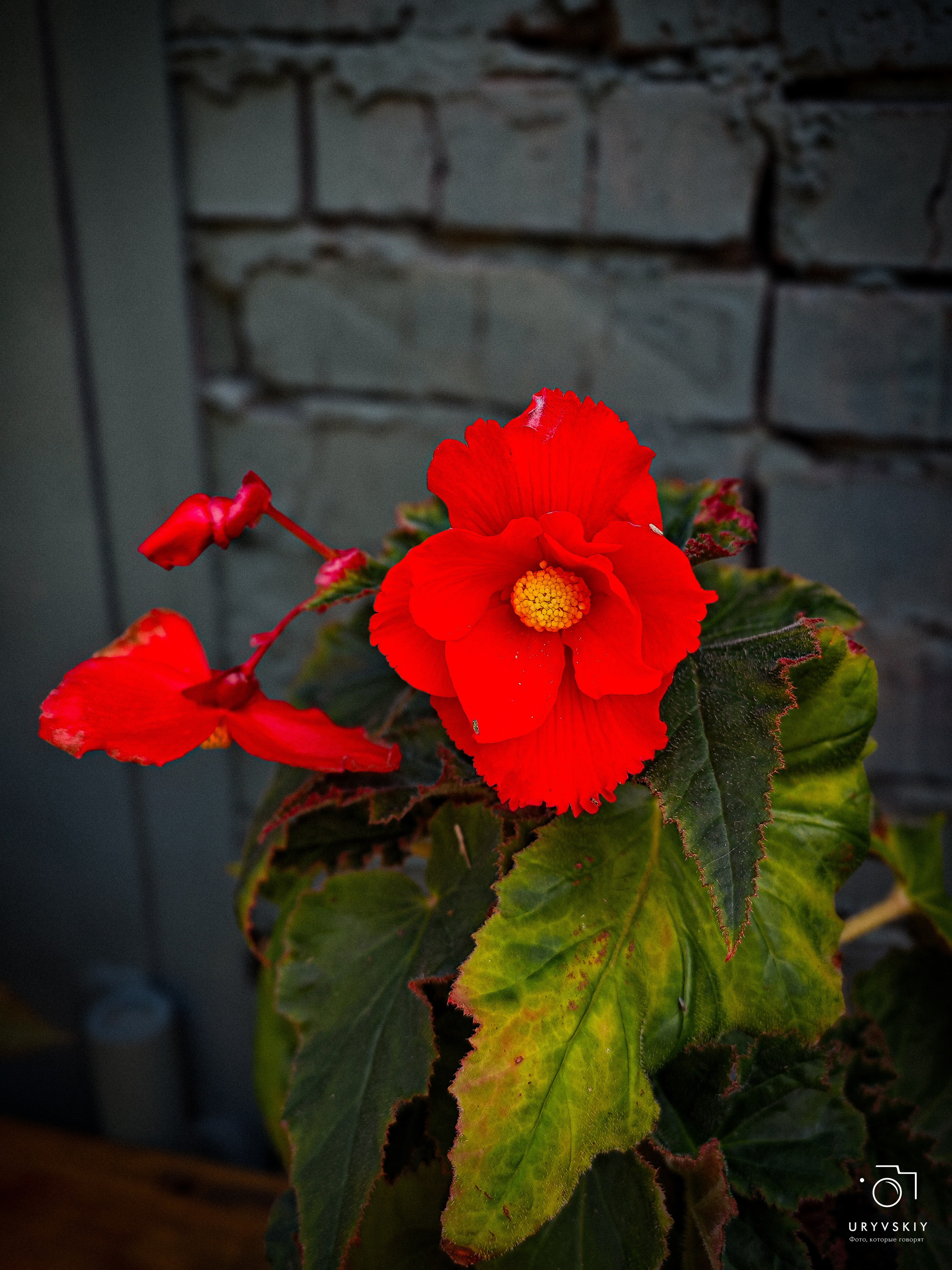 Арт пространство «Хлебзавод». Игорь Урывский. Фотограф Красноярск