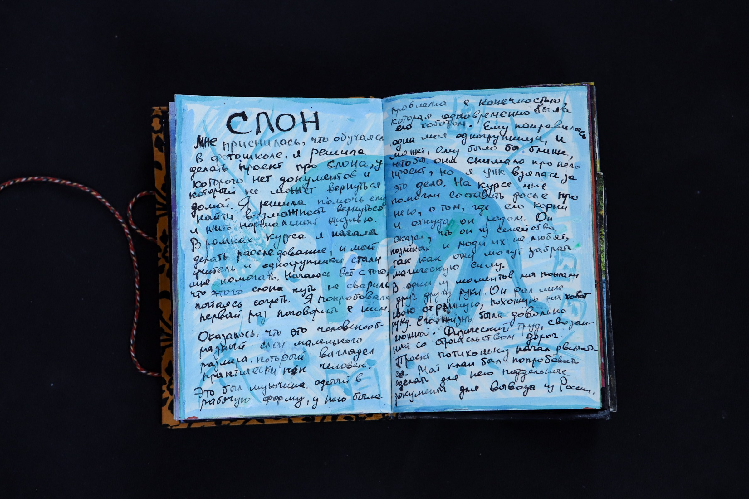 Визуальный дневник. Сайт Фотографа MASHASOLAR