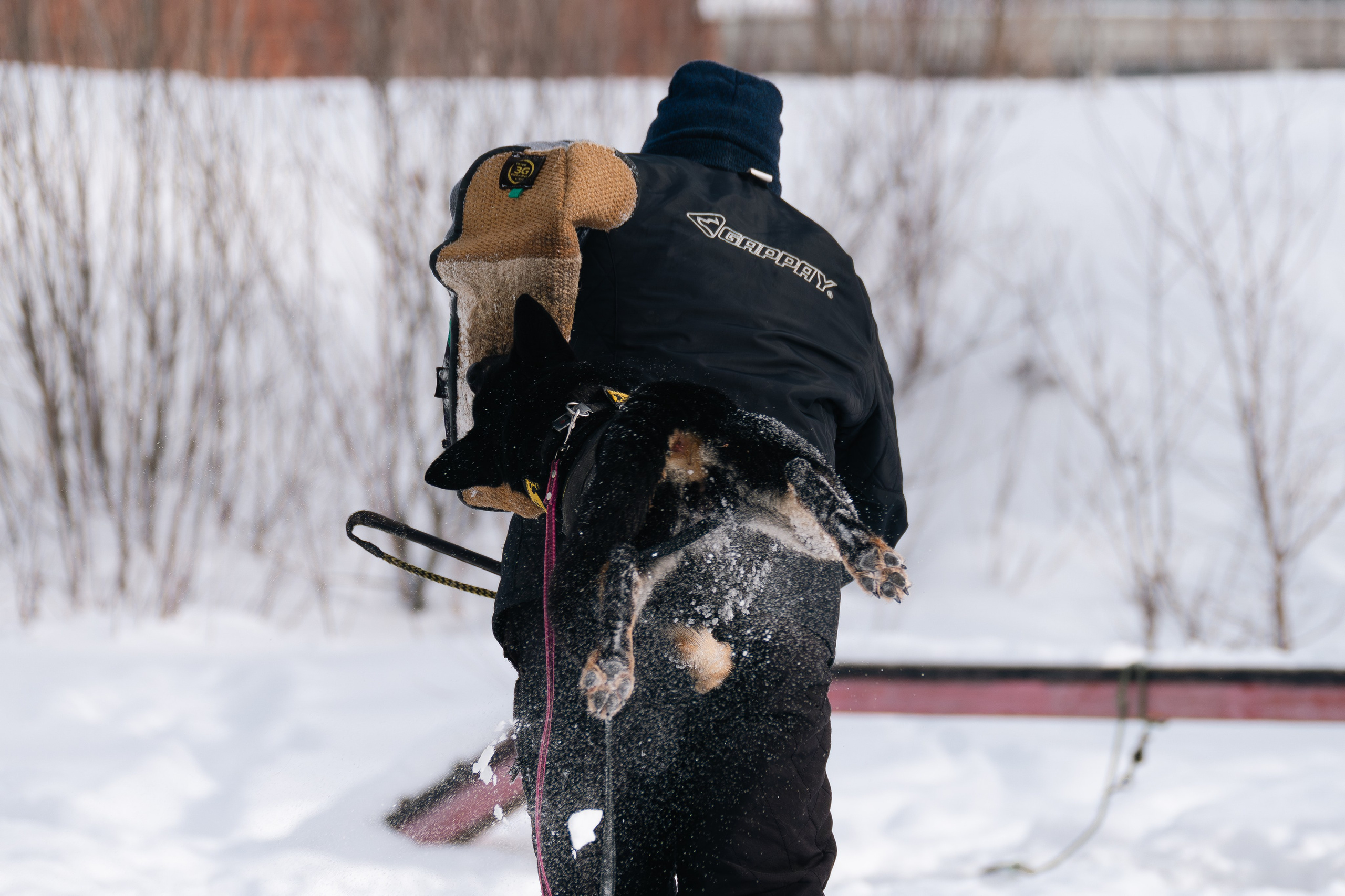 Репортажная съемка. Фотограф-анималист Нижний Новгород