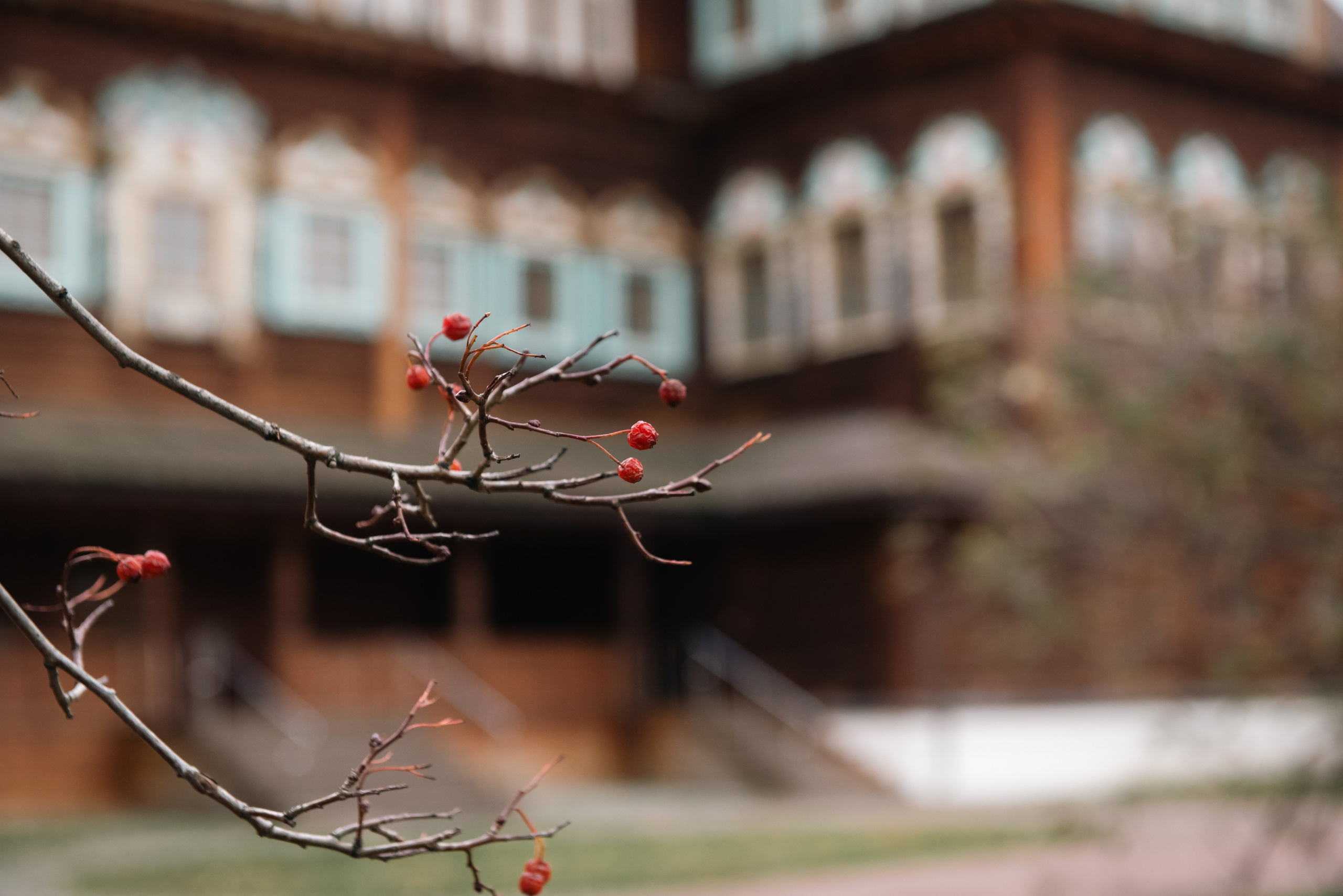 Коломенское. Фотограф, визажист. Москва