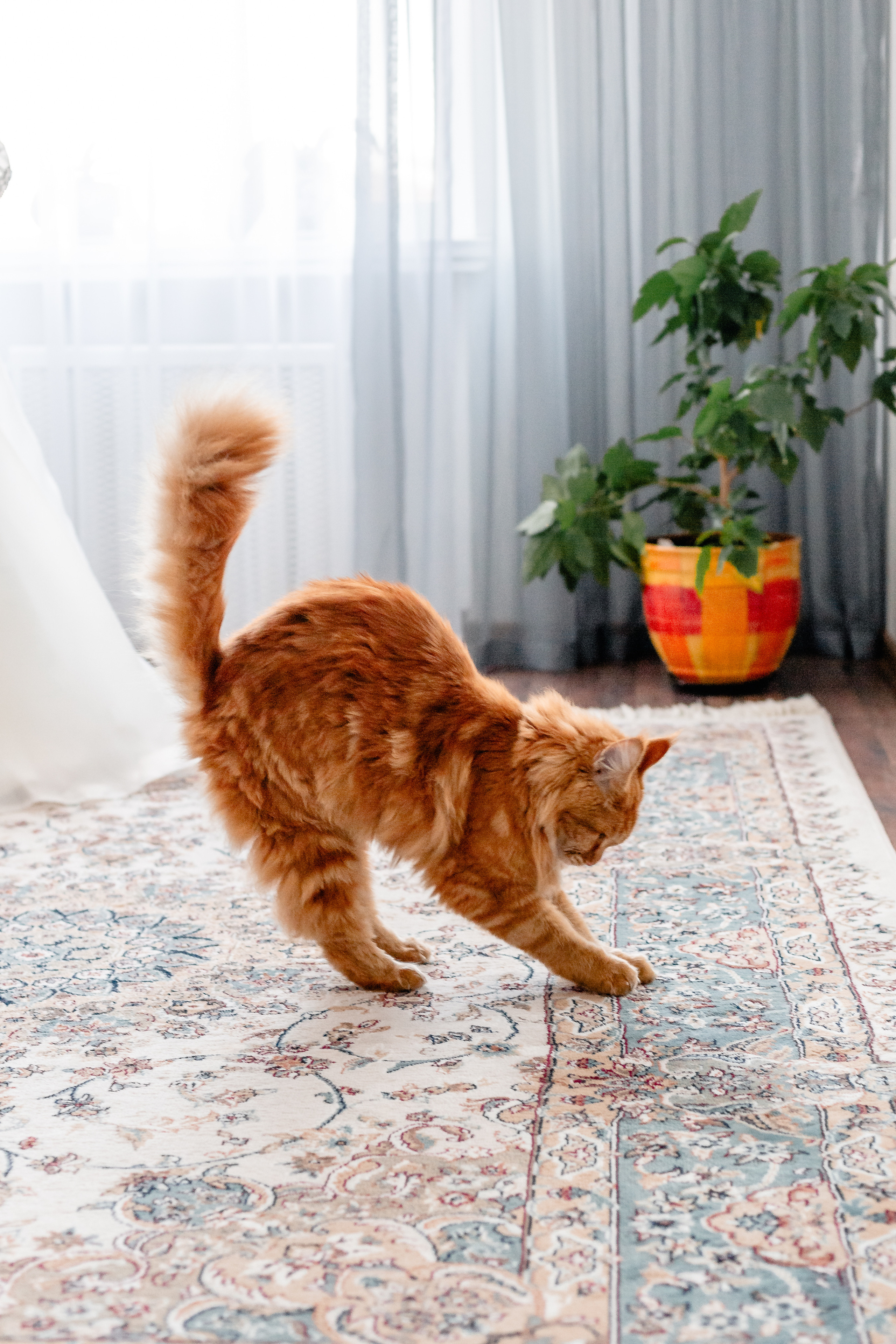 Фотосессия никах в Казани. Фотограф Ильхам Сибгатуллин Казань