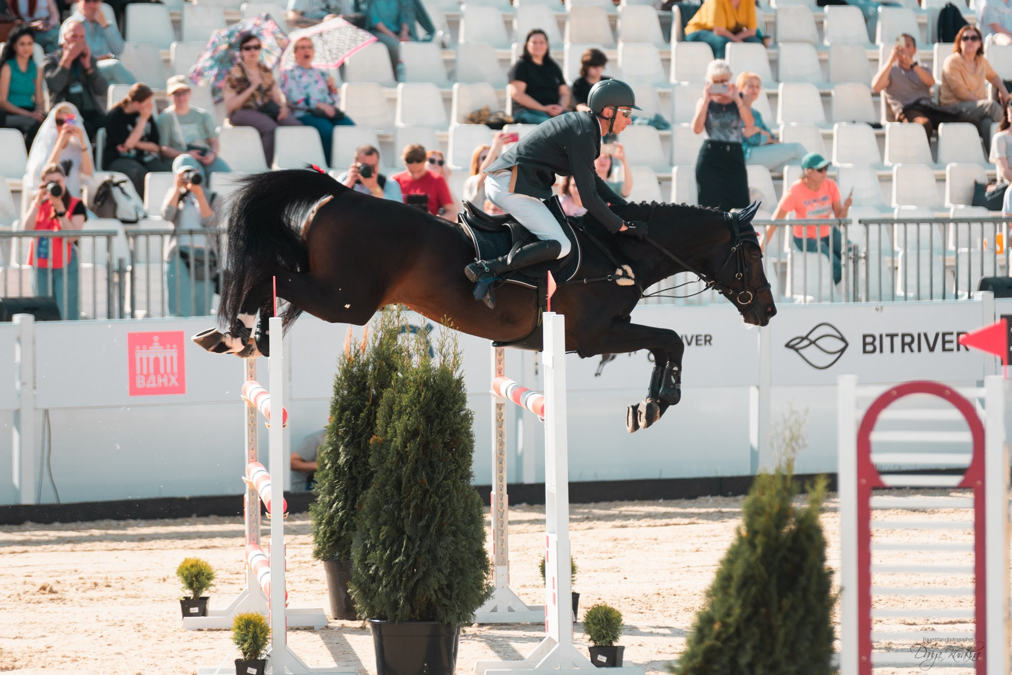 BITRIVER CUP 2023. Конный фотограф Куракина Дарья • Фотосессии с лошадьми