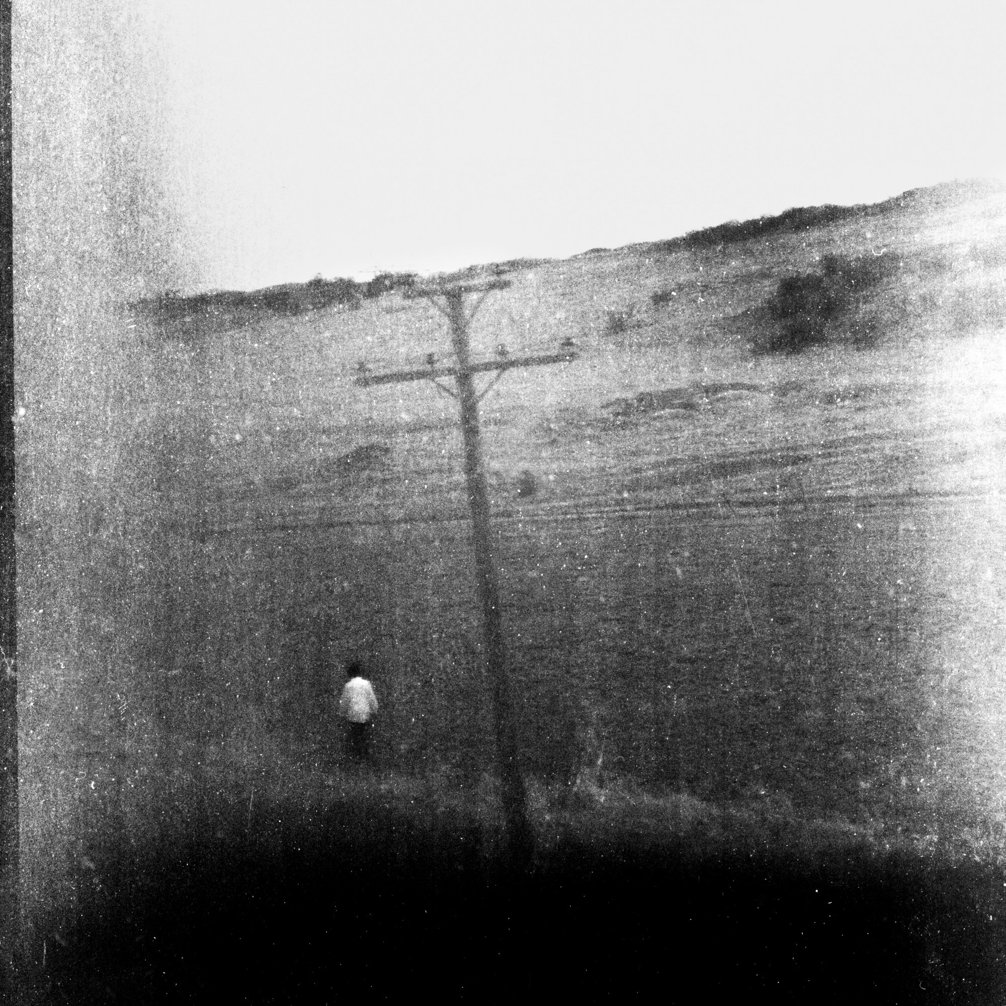 Rotten apple (ongoing). Lisa Mukhina