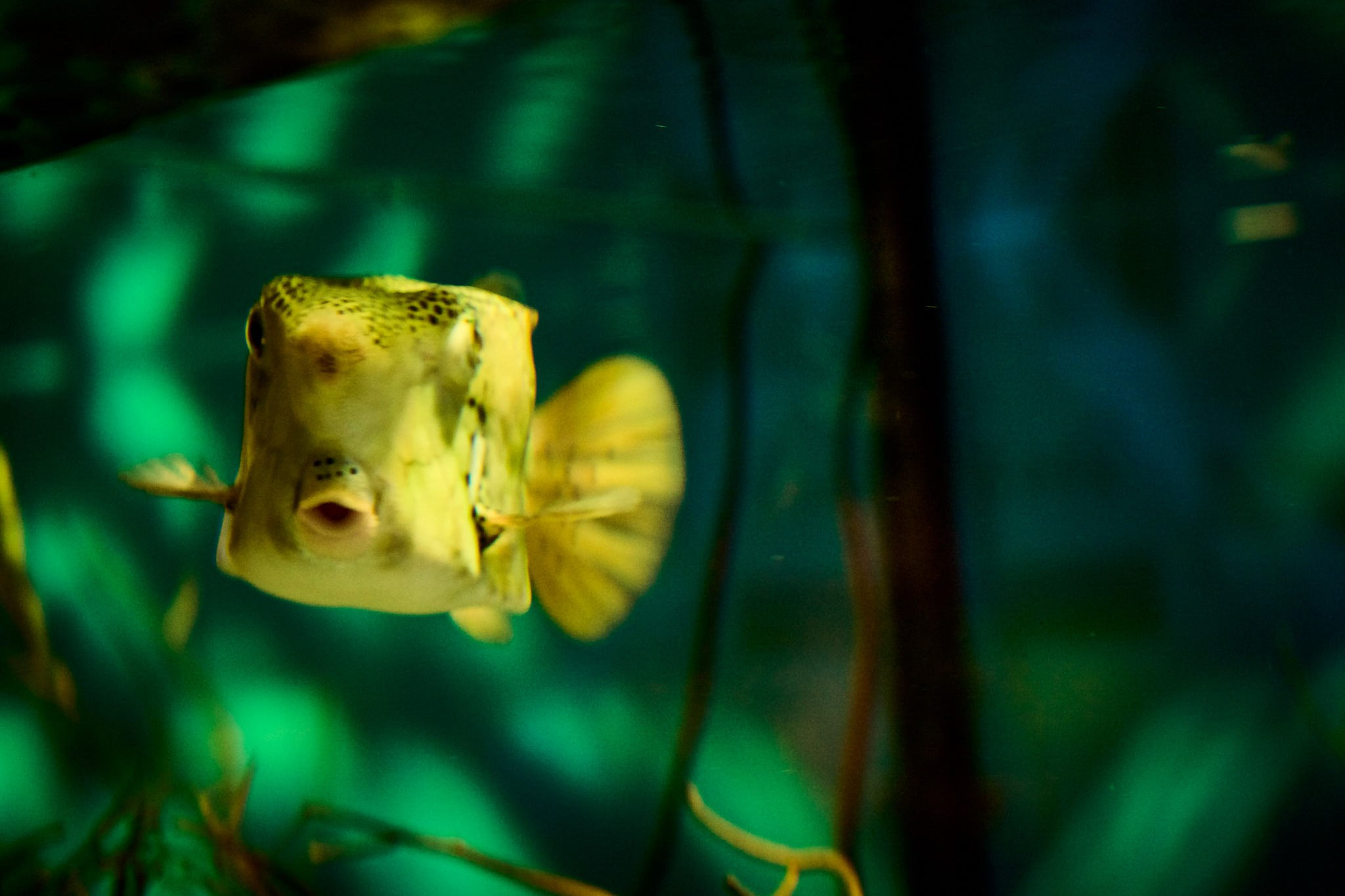 ZOO. ФОТОГРАФ ЕКАТЕРИНБУРГ