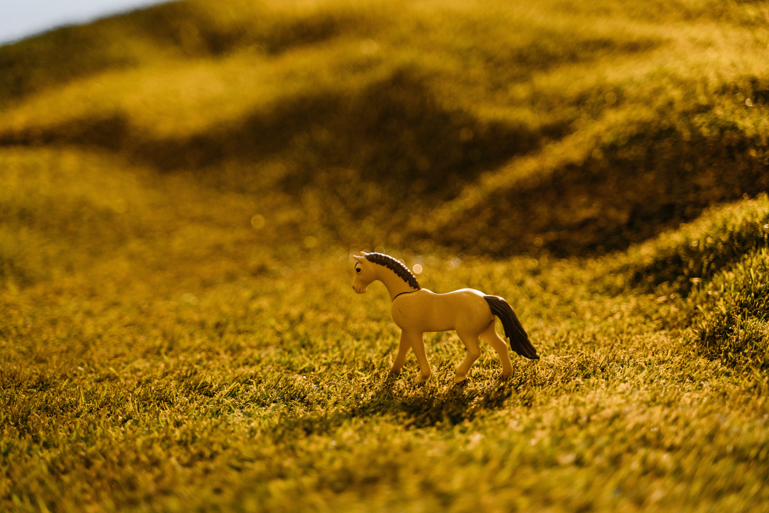 Выставка мастерской Каменьковича-Крымова. Фотограф репортаж портреты