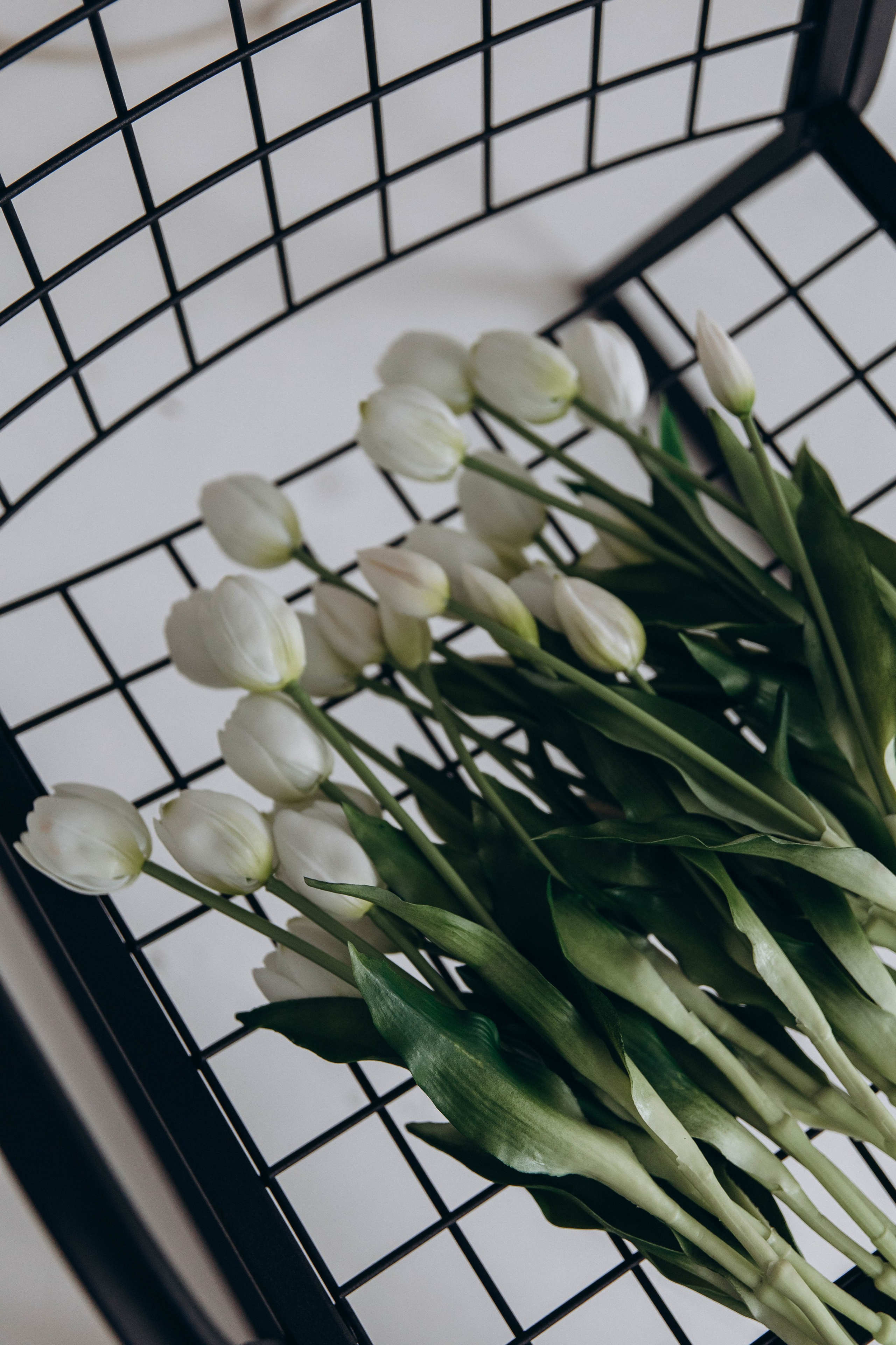 Фотодень «Тюльпаны». Фотограф•Евгения Перегонцева•Тюмень•Создадим фотоисторию вместе с вами!