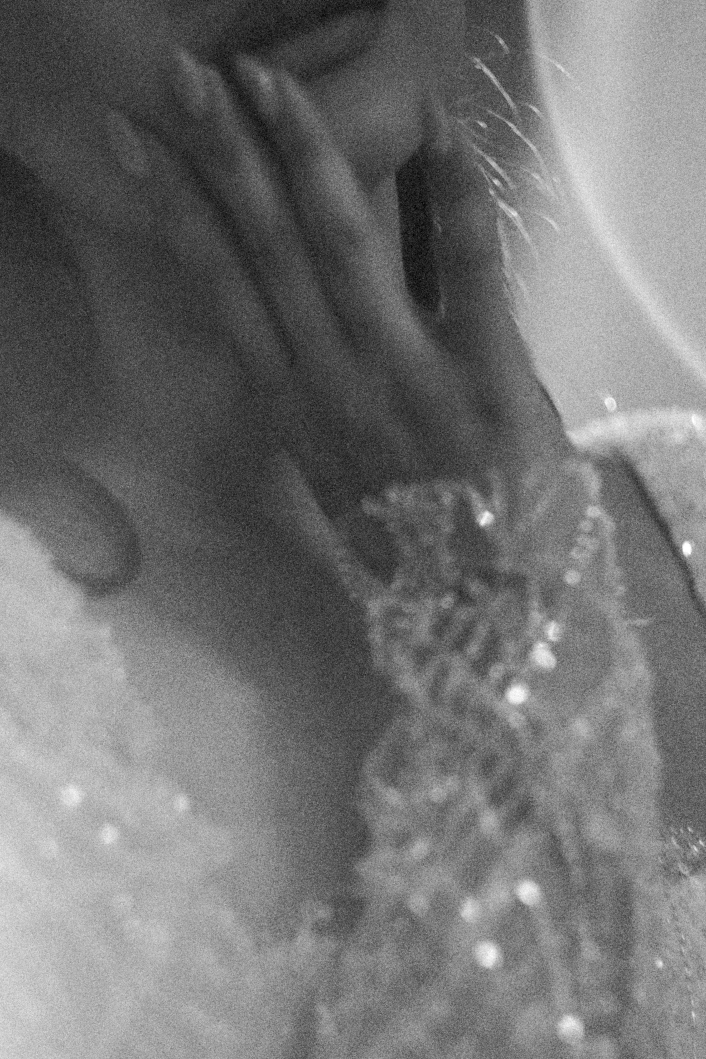 Свадебная съемка. Գլխավոր