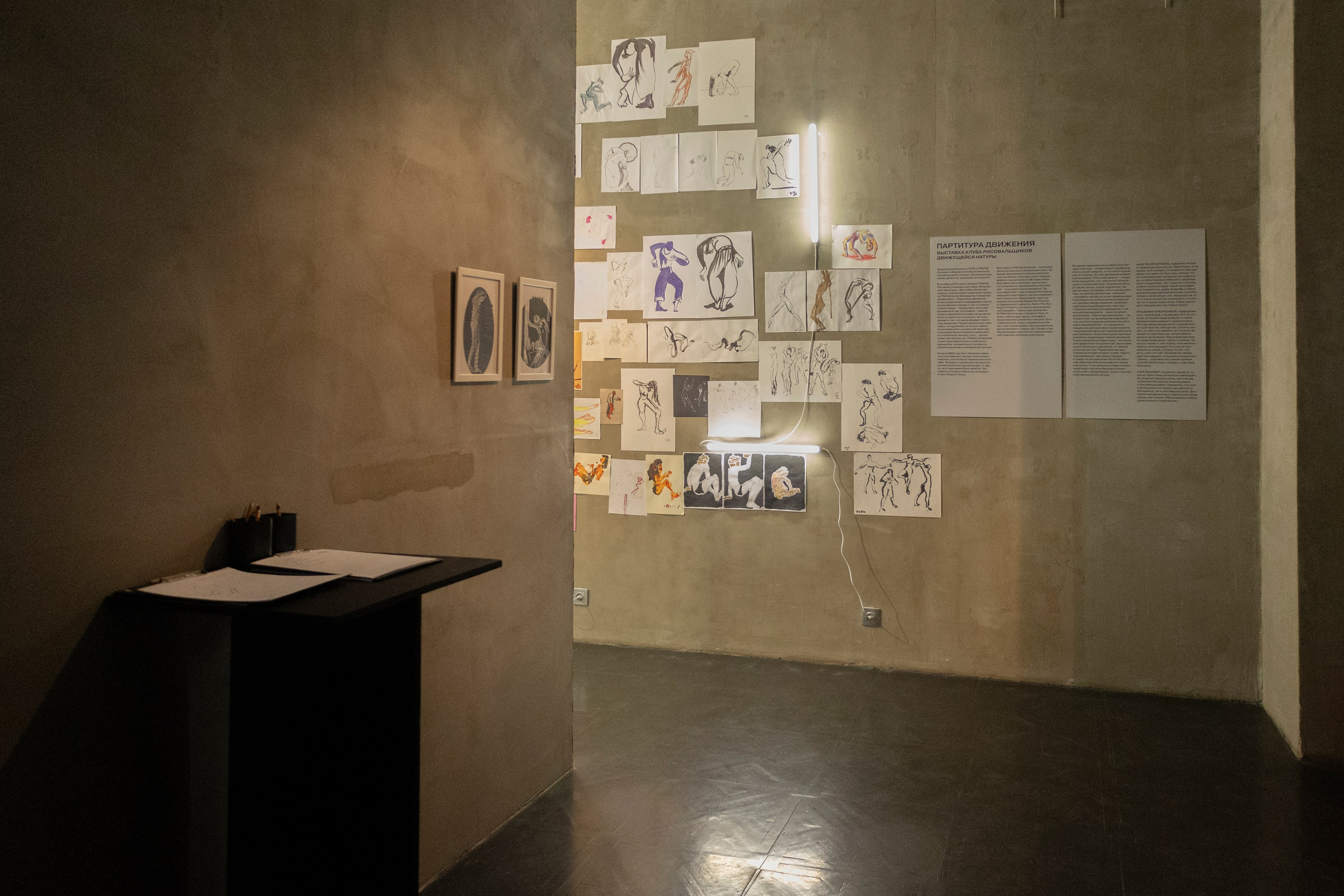 Галерея Граунд Солянка. Юлия Петренко