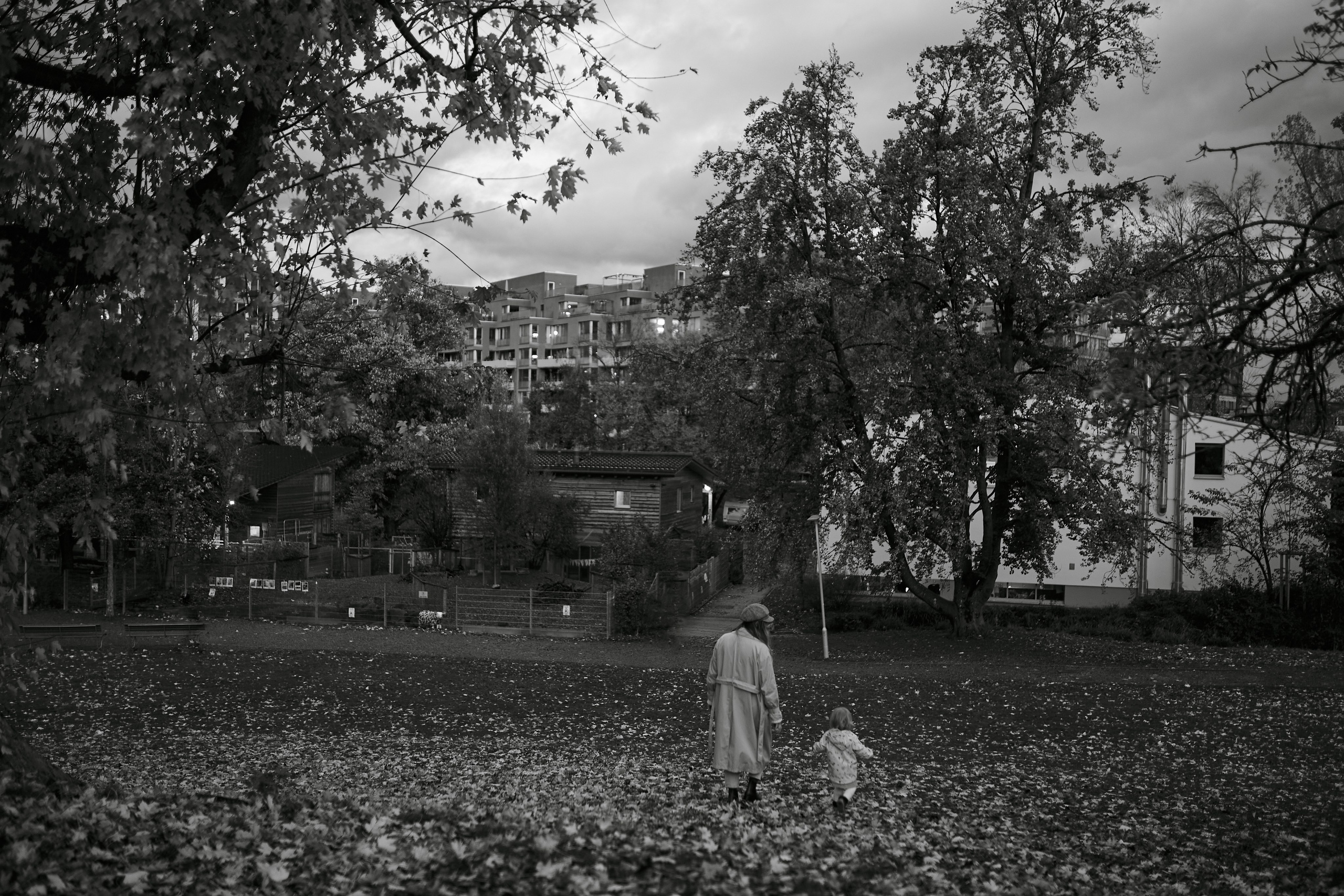 Осень в Цюрихе. Ваш душевный фотограф