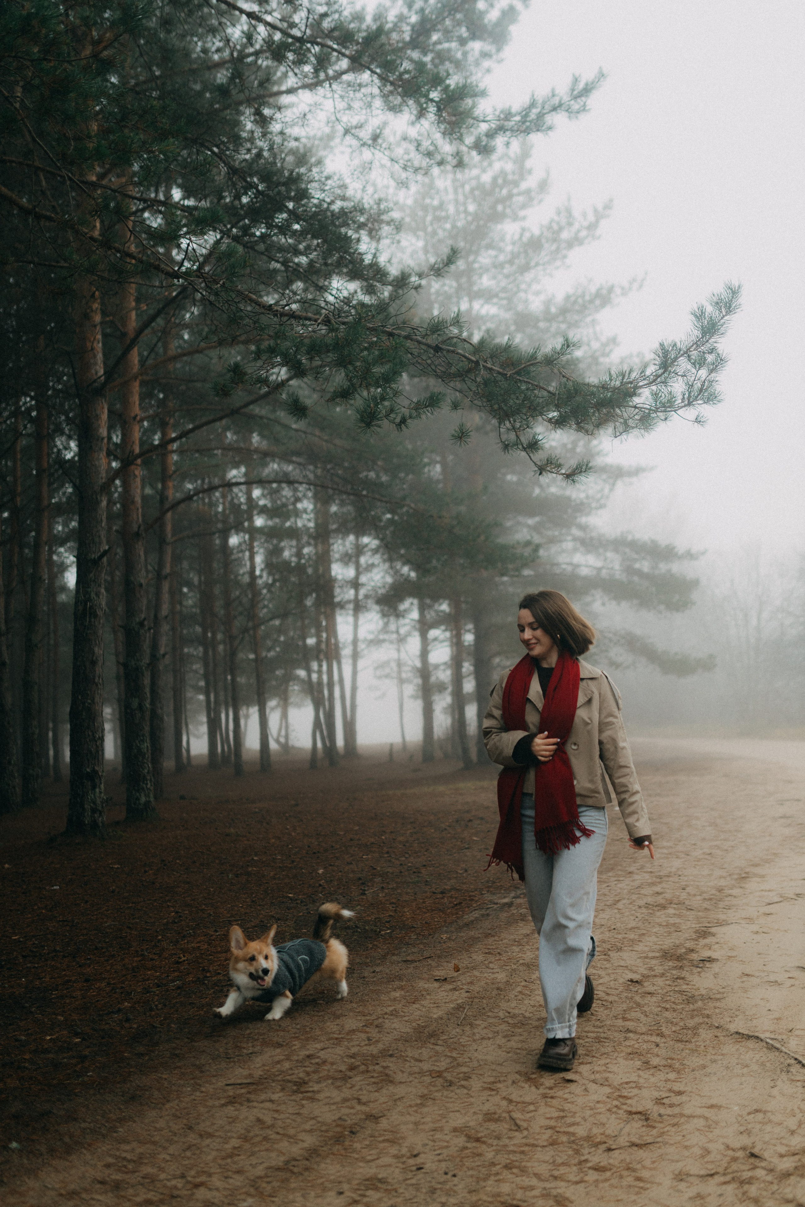 Алина. Фотограф НОГИНСК, Москва, Анастасия Белая