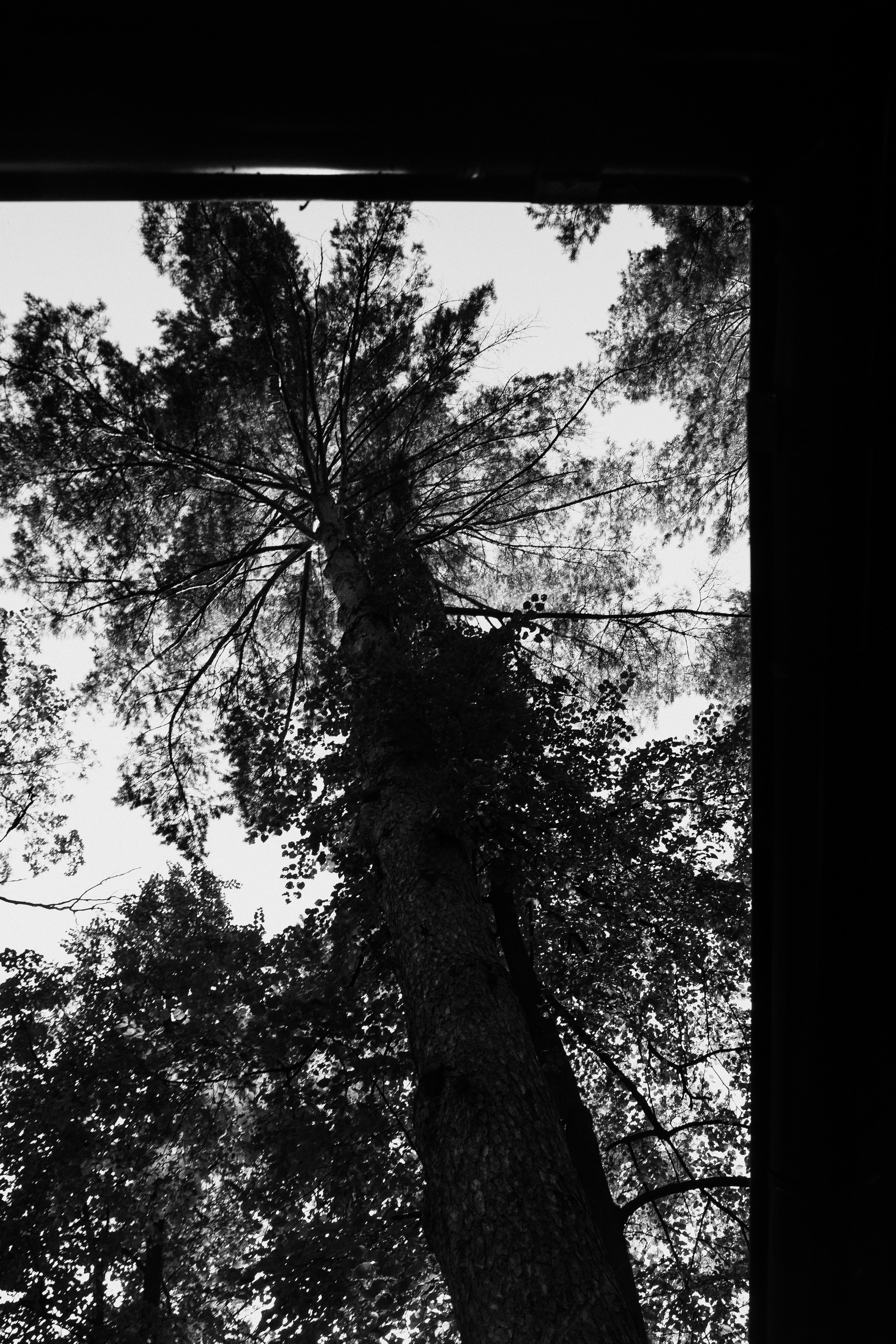 A&V. Фотограф Константин Жуйков