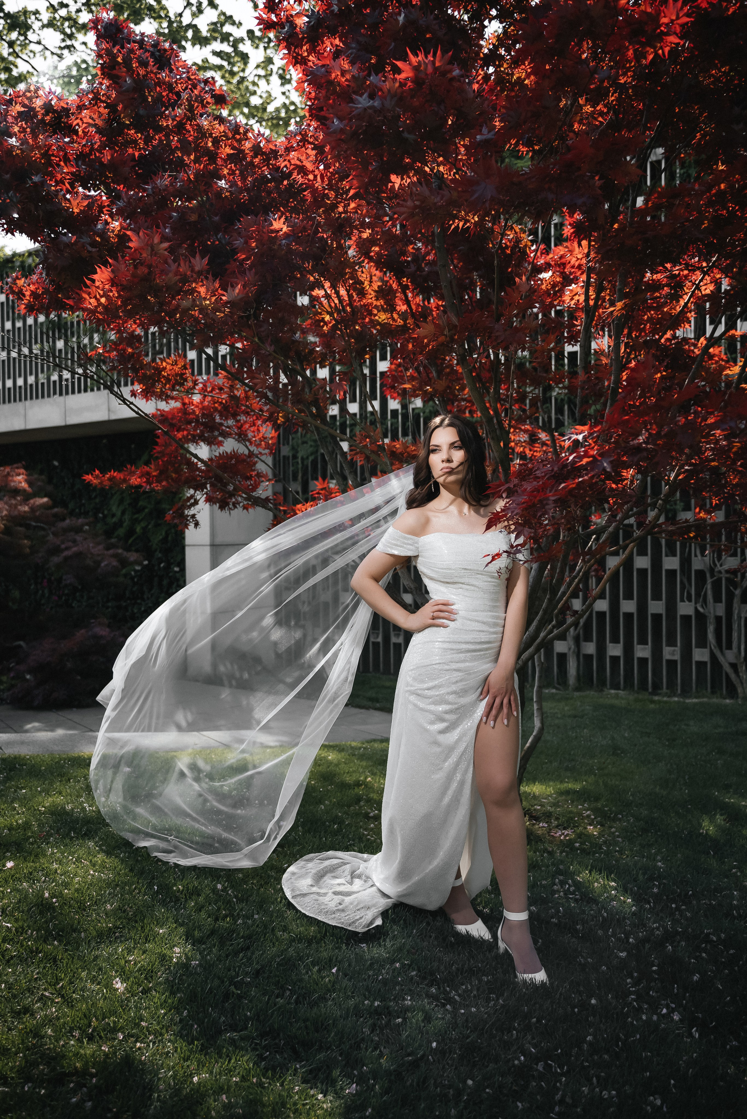 Ангелина & Максим. Фотограф в Краснодарском крае Александр Шульга