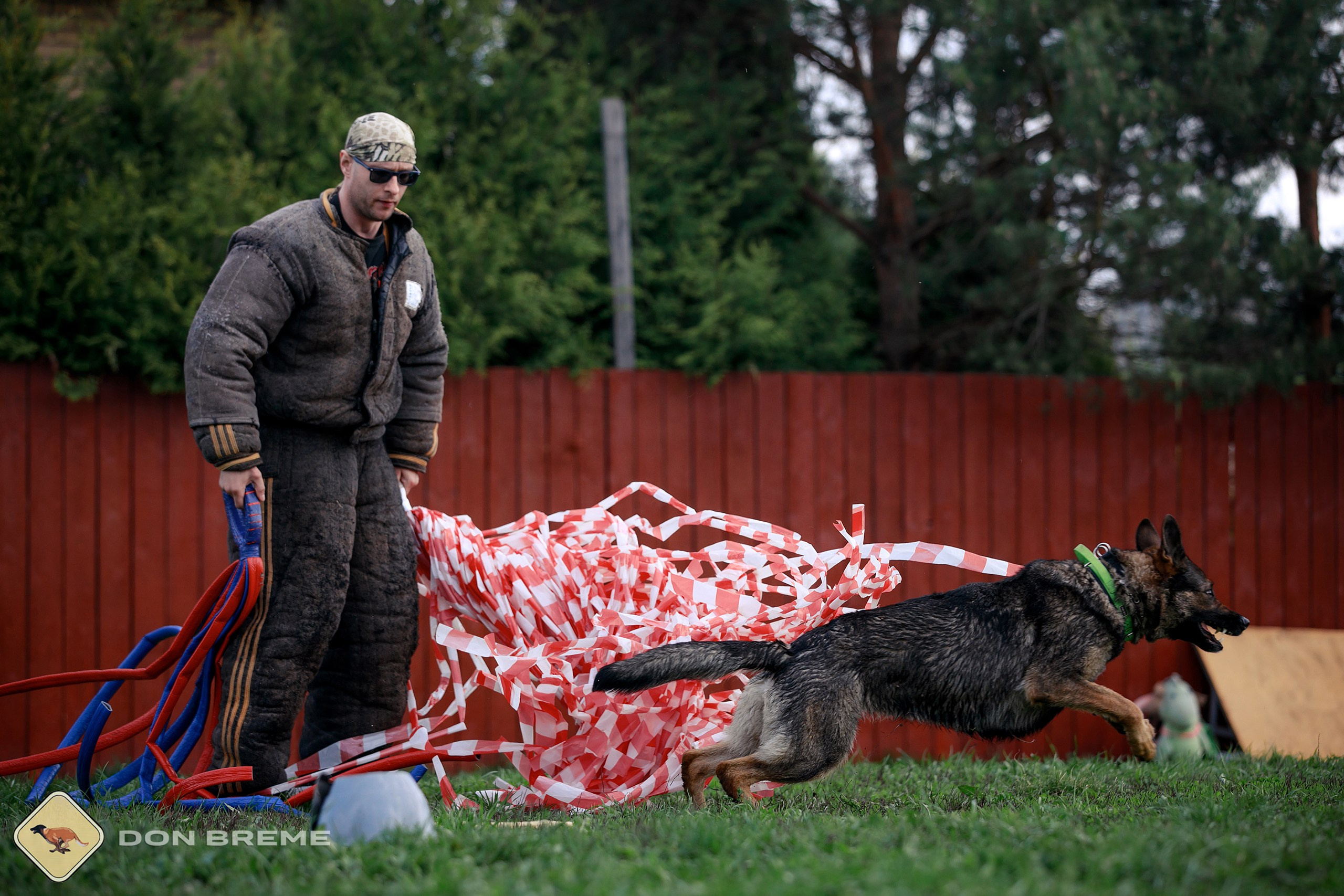 Семинар для фигурантов, день 2. Фотограф-анималист Mary Mart — Москва, Питер