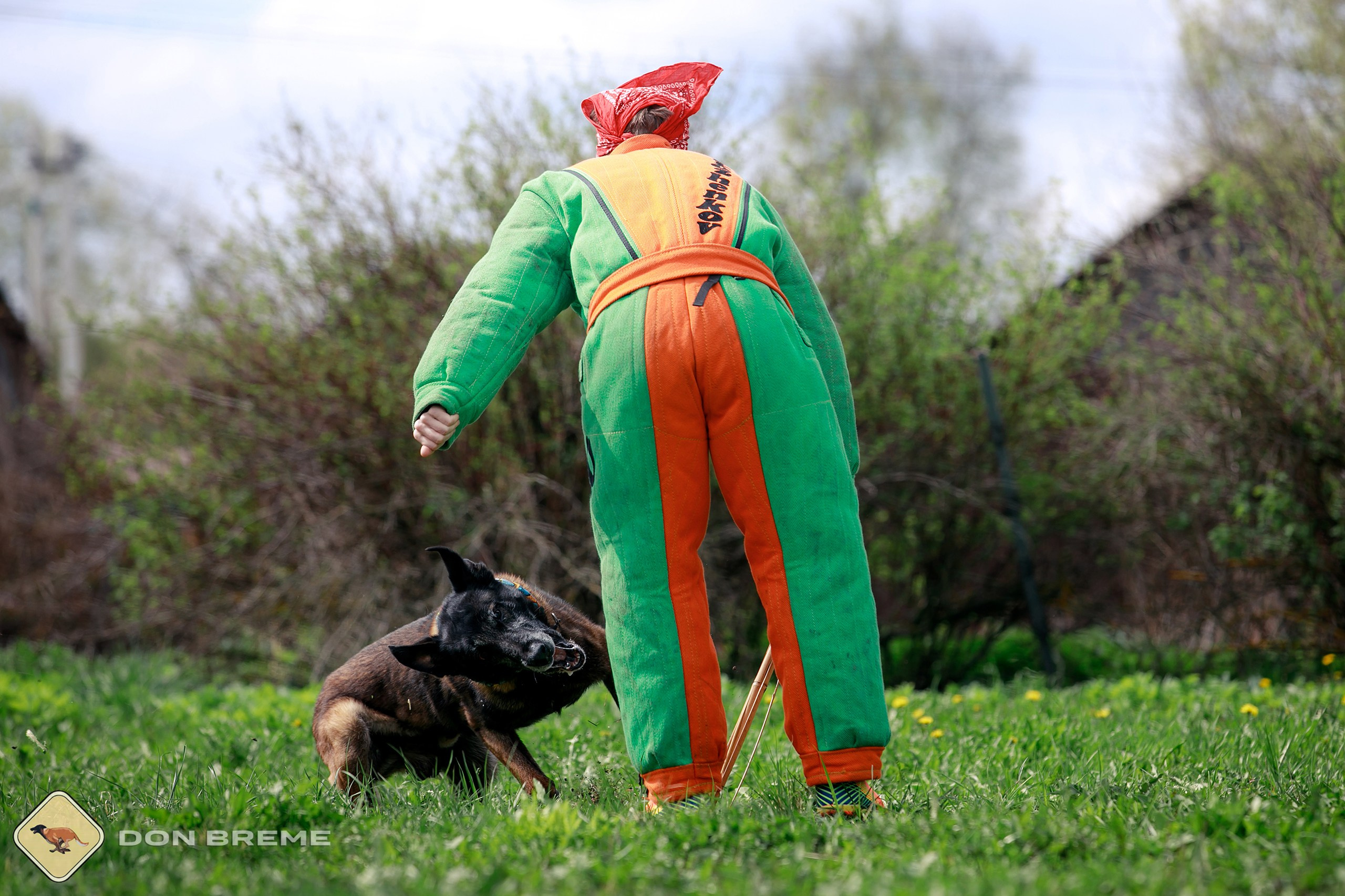 Семинар для фигурантов, день 2. Фотограф-анималист Mary Mart — Москва, Питер