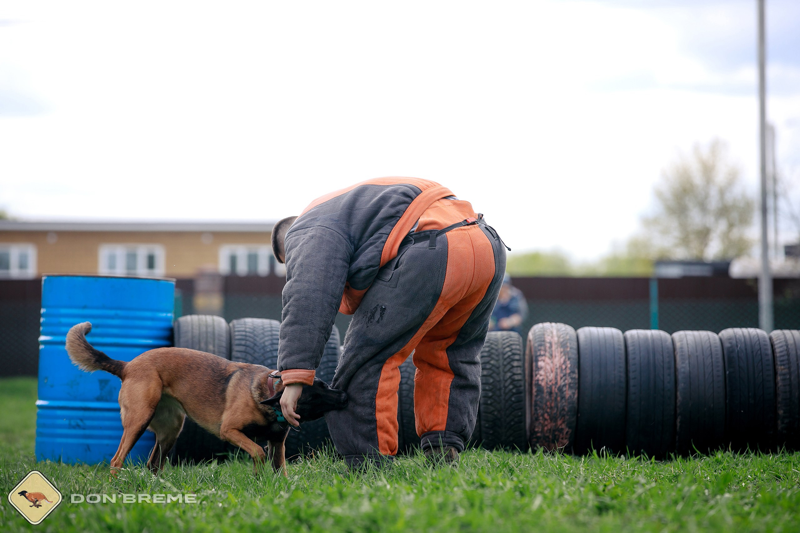 Семинар для фигурантов, день 2. Фотограф-анималист Mary Mart — Москва, Питер