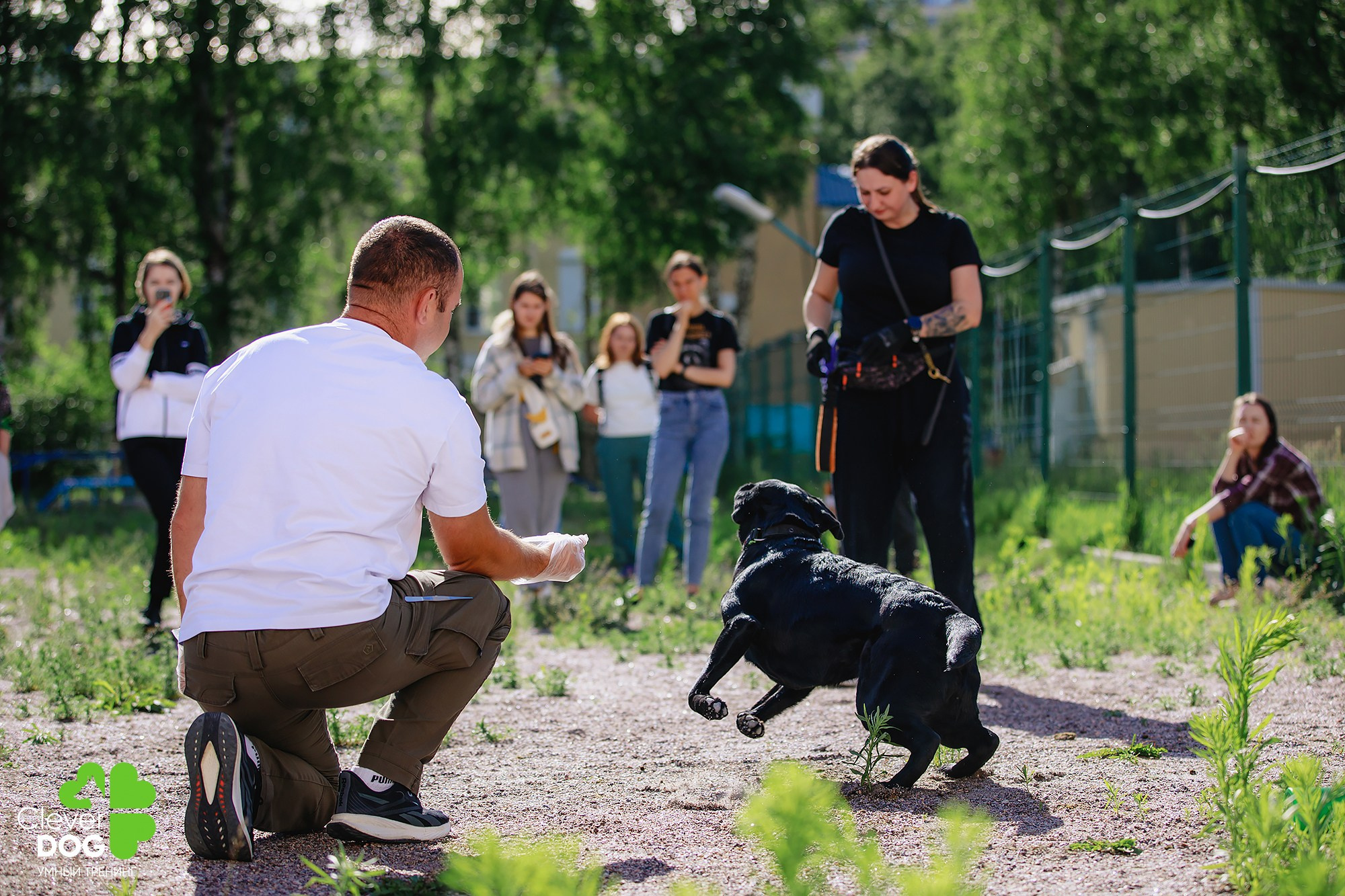 Семинар по поиску запаха с Иваном Ломовым, организатор CleverDog, СПб. Фотограф-анималист Mary Mart — Москва, Питер