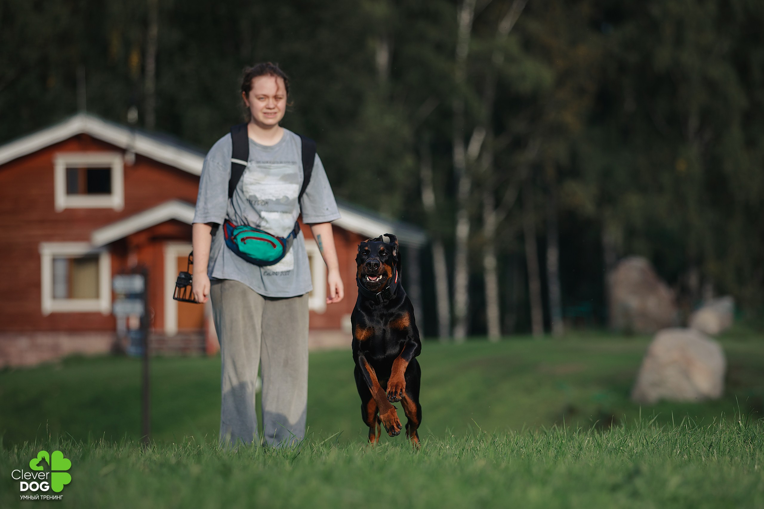 Кинологический лагерь CleverDog, 2024. Фотограф-анималист Mary Mart — Москва, Питер