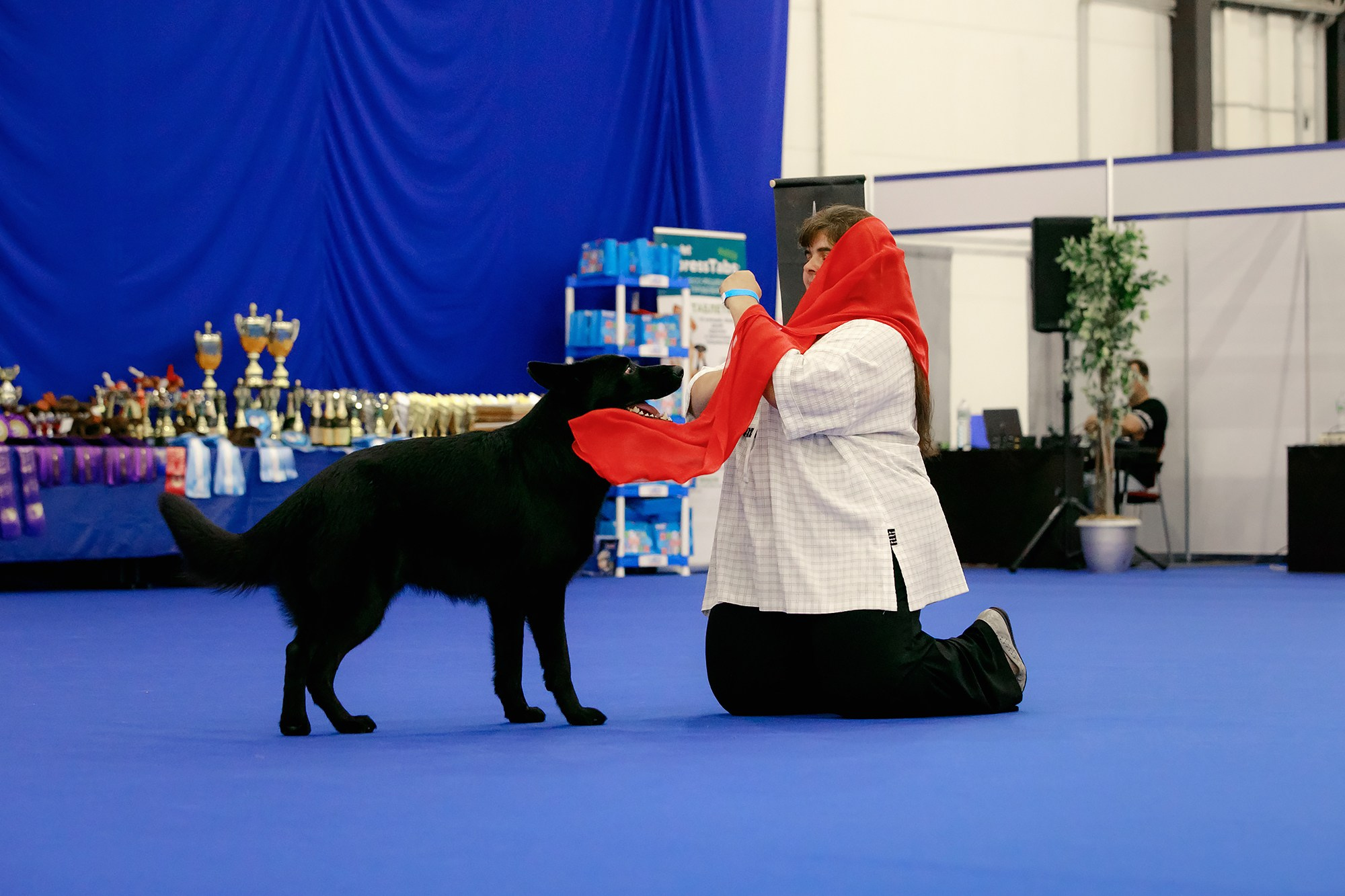 Танцы на выставке «Зоошоу», СПб. Фотограф-анималист Mary Mart — Москва, Питер
