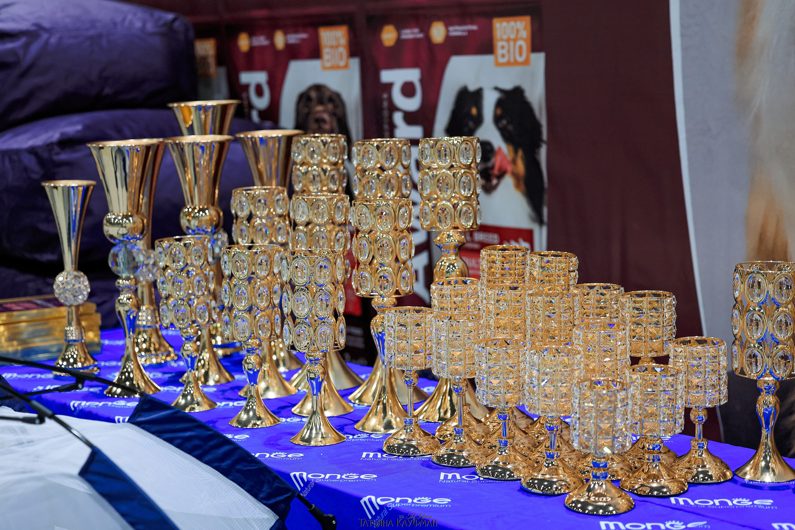 выставка собак в Новосибирске ABSOLUT WINNER-2026, Рейтинговая выставка собак