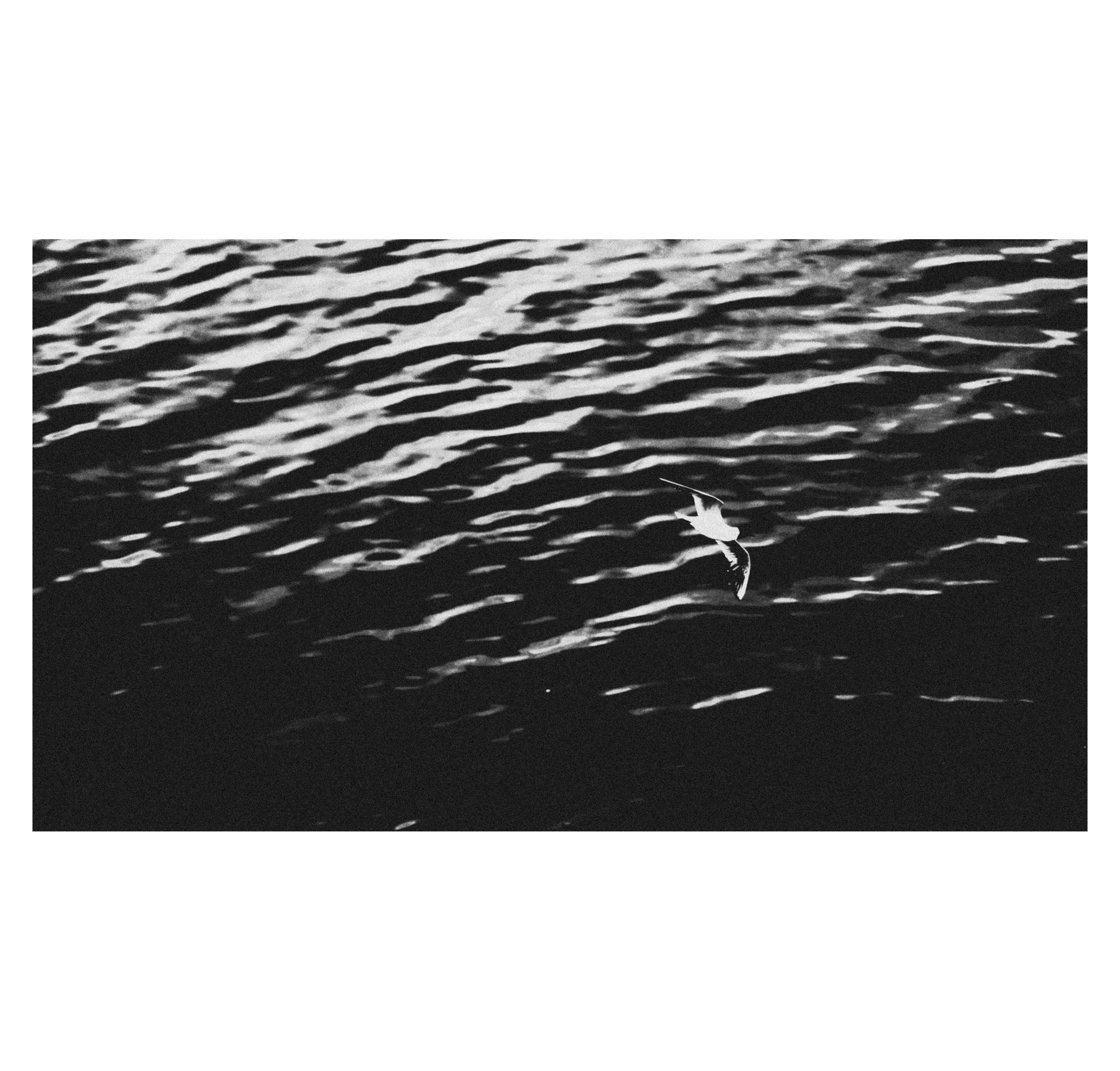 Summertime. Фотограф/дизайнер в Екатеринбурге Хитрый Дмитрий