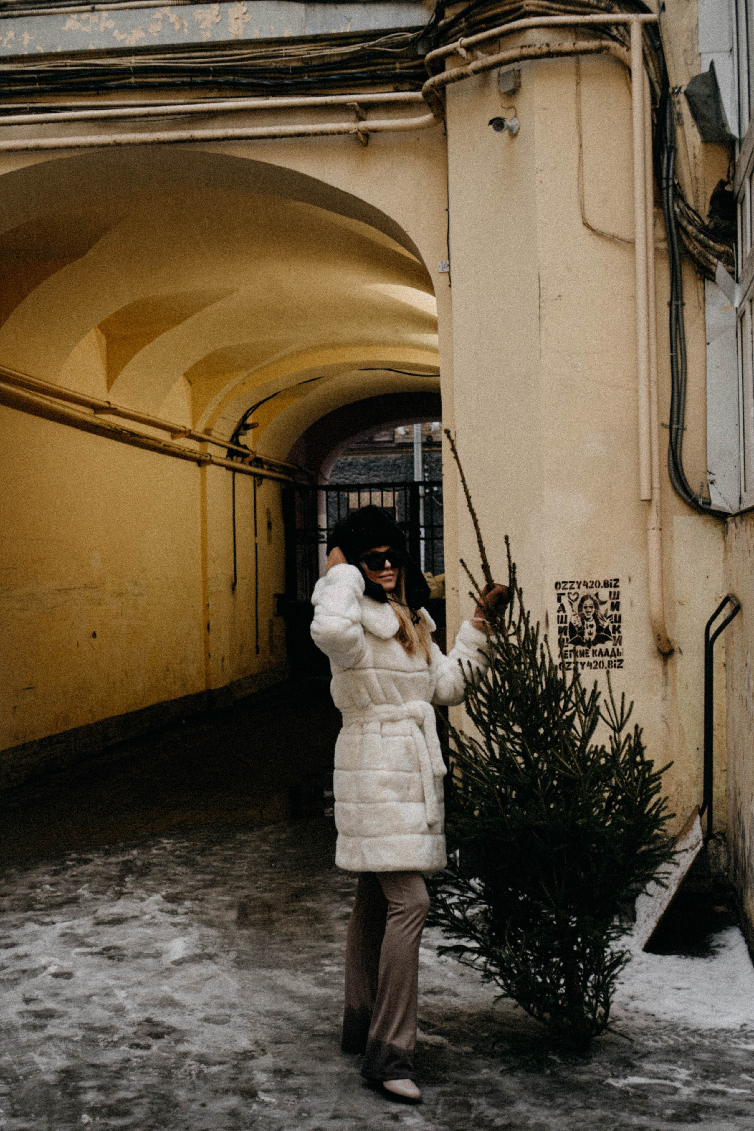 Новогодняя. Профессиональный фотограф, Санкт-Петербург — Виктория Богомолова